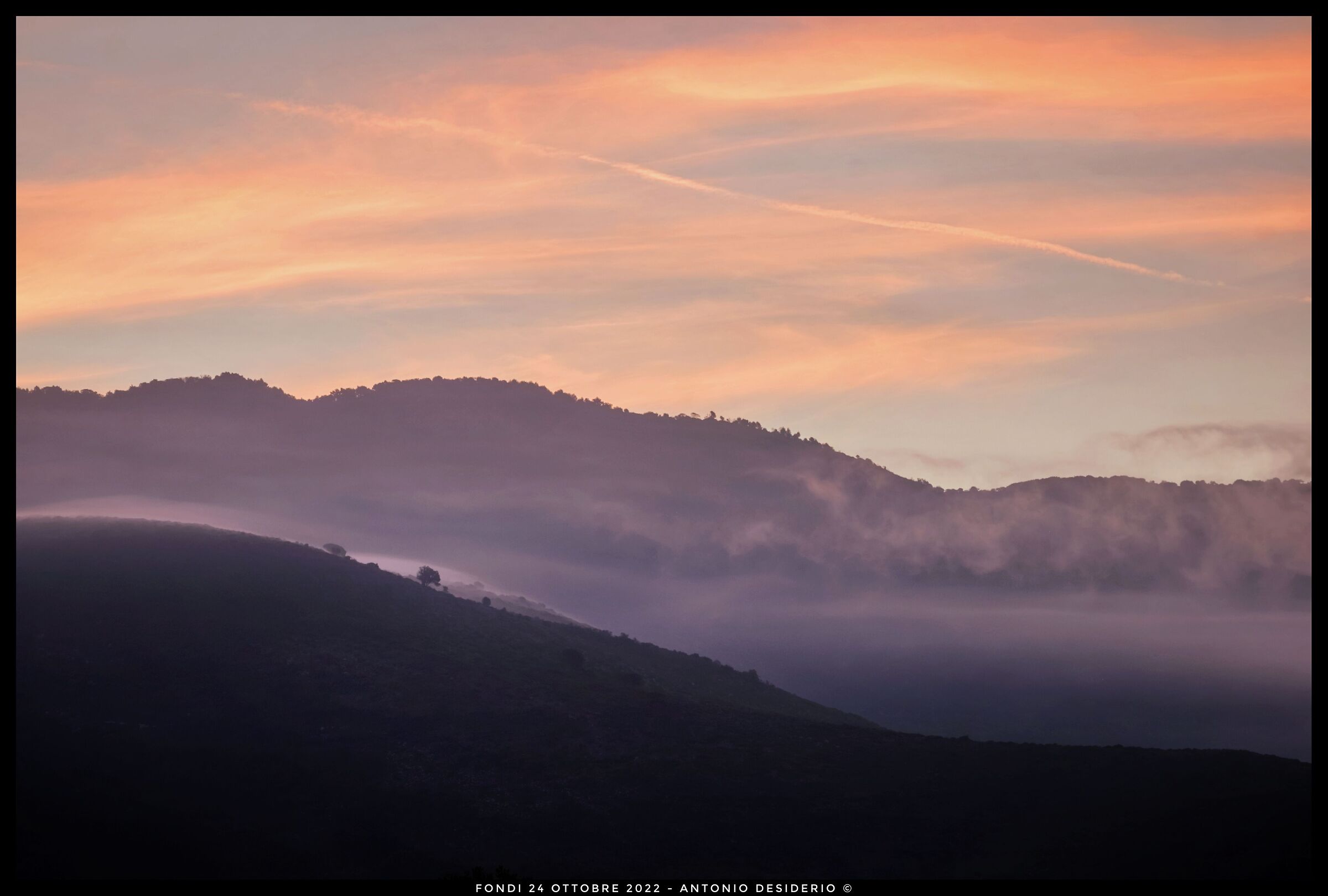 The fog at the bristling hills....