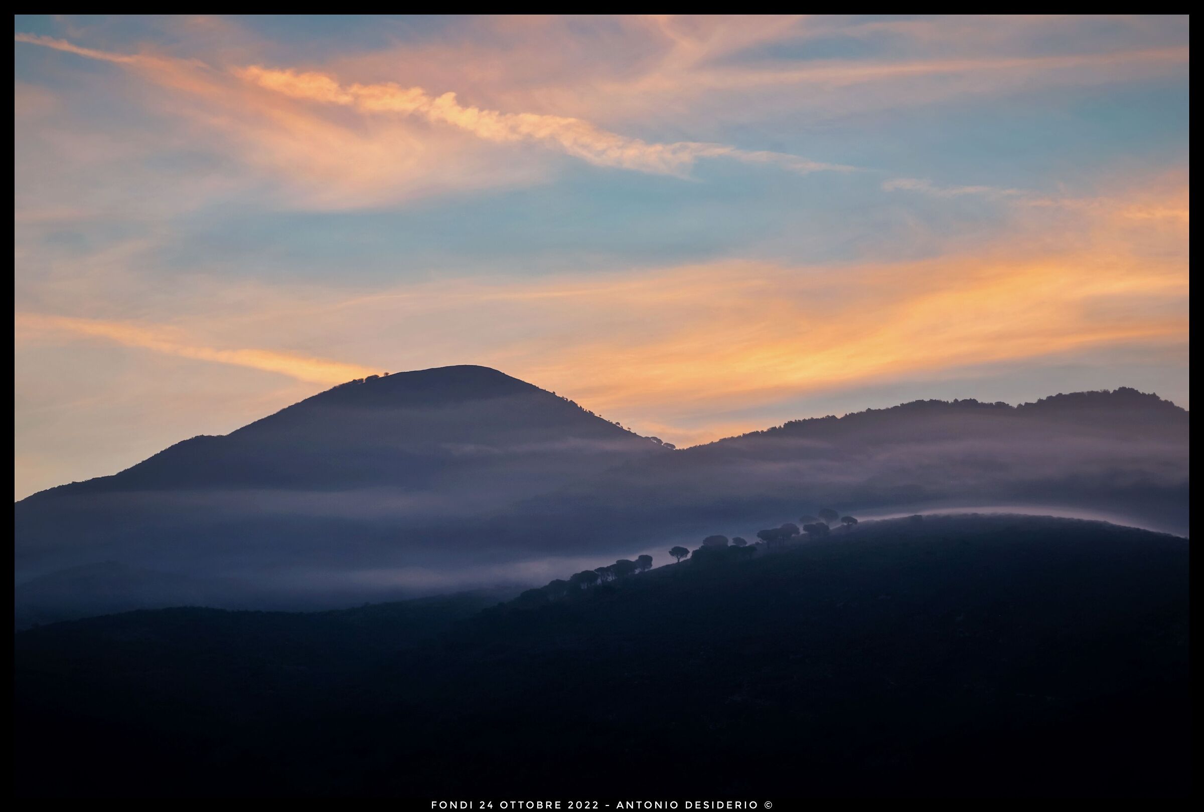 The fog at the bristling hills....