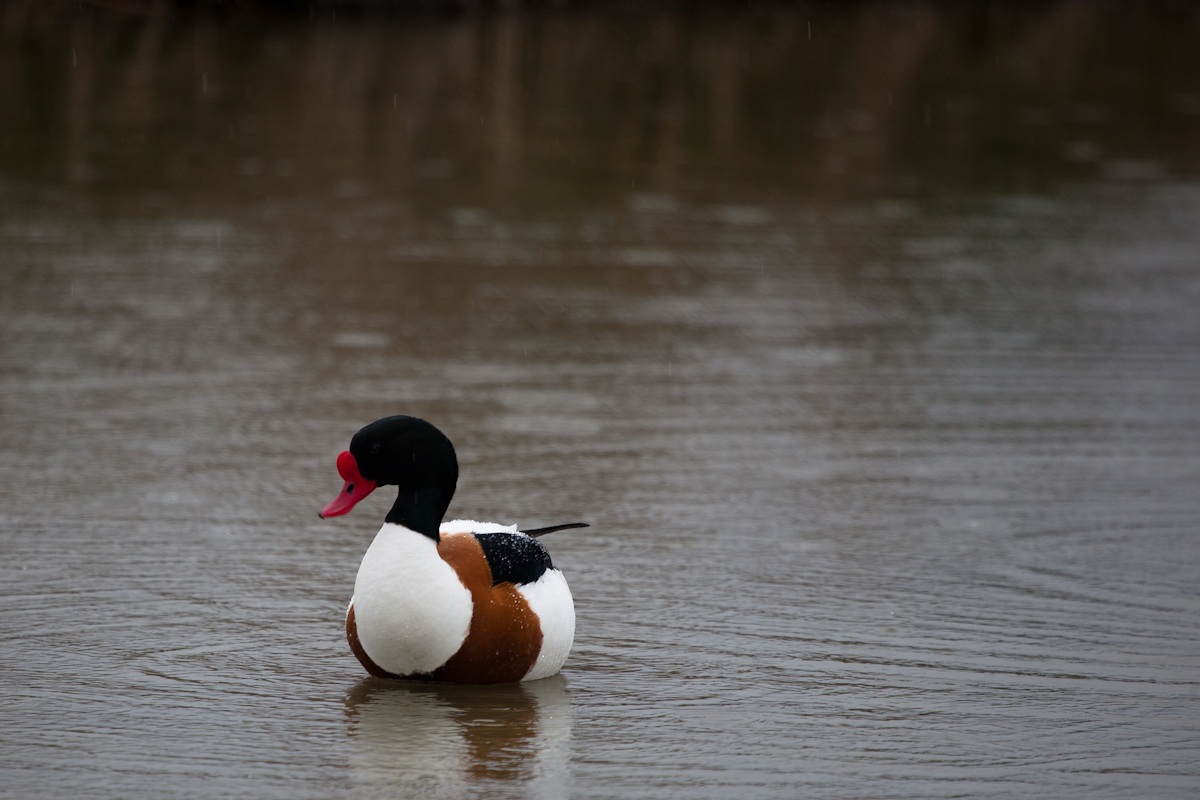 atmosfere inpressioniste