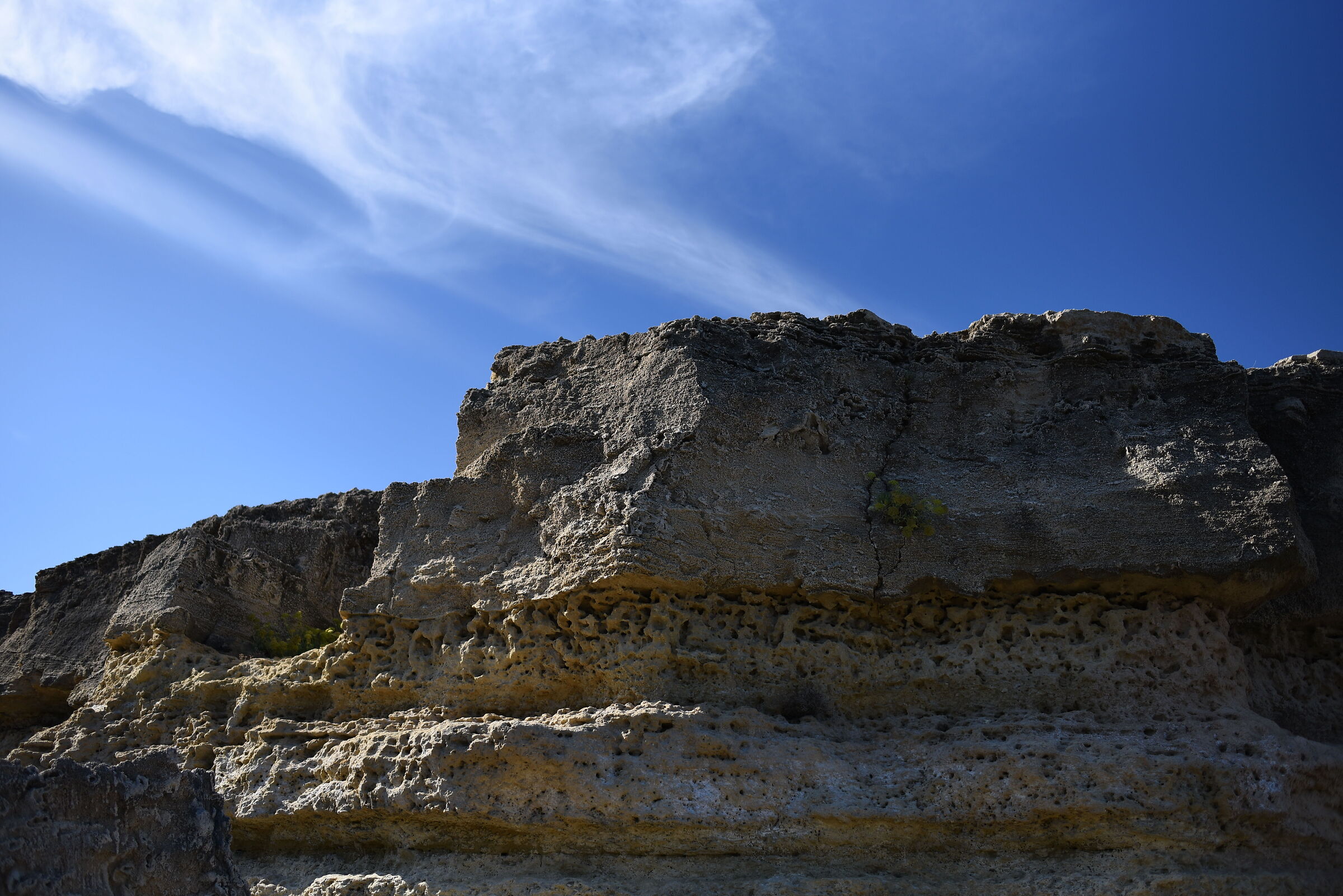 " Ombre " F. 2.4, 1/ 4.0 0 0, ISO 125- Otus Z. 28,...