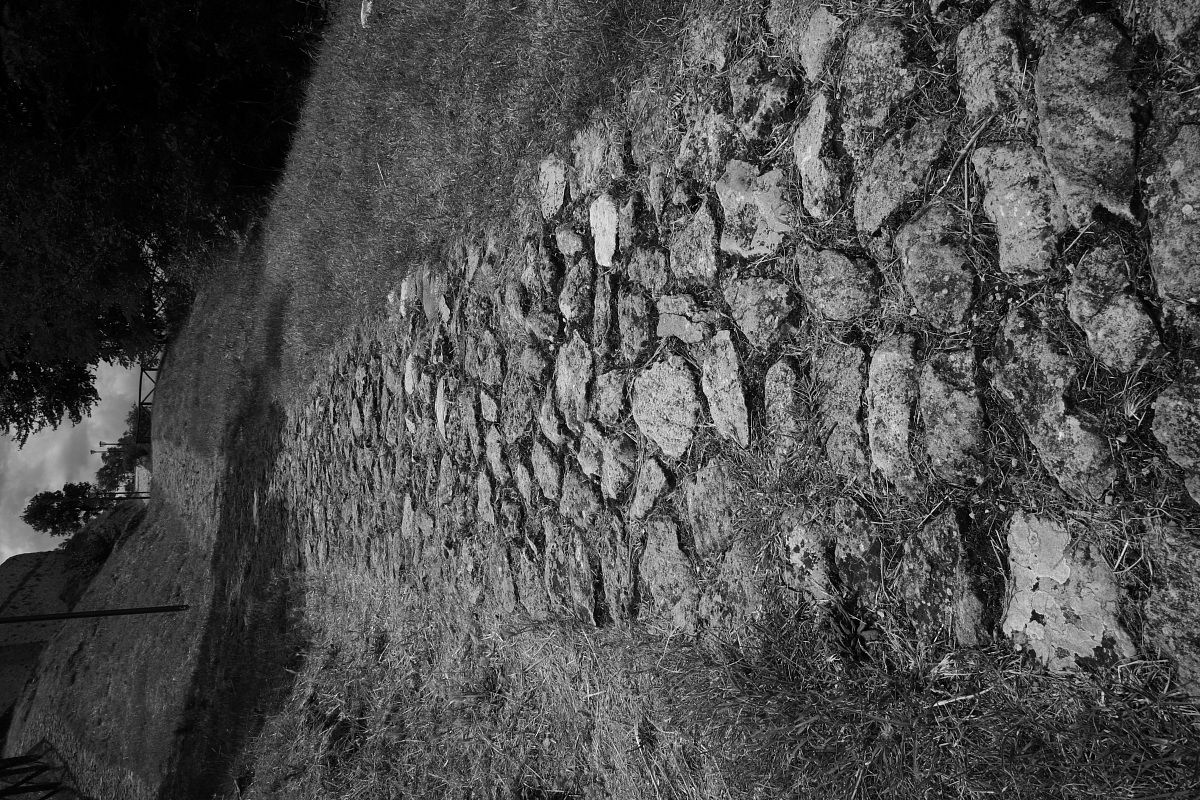 Il cammino della vita