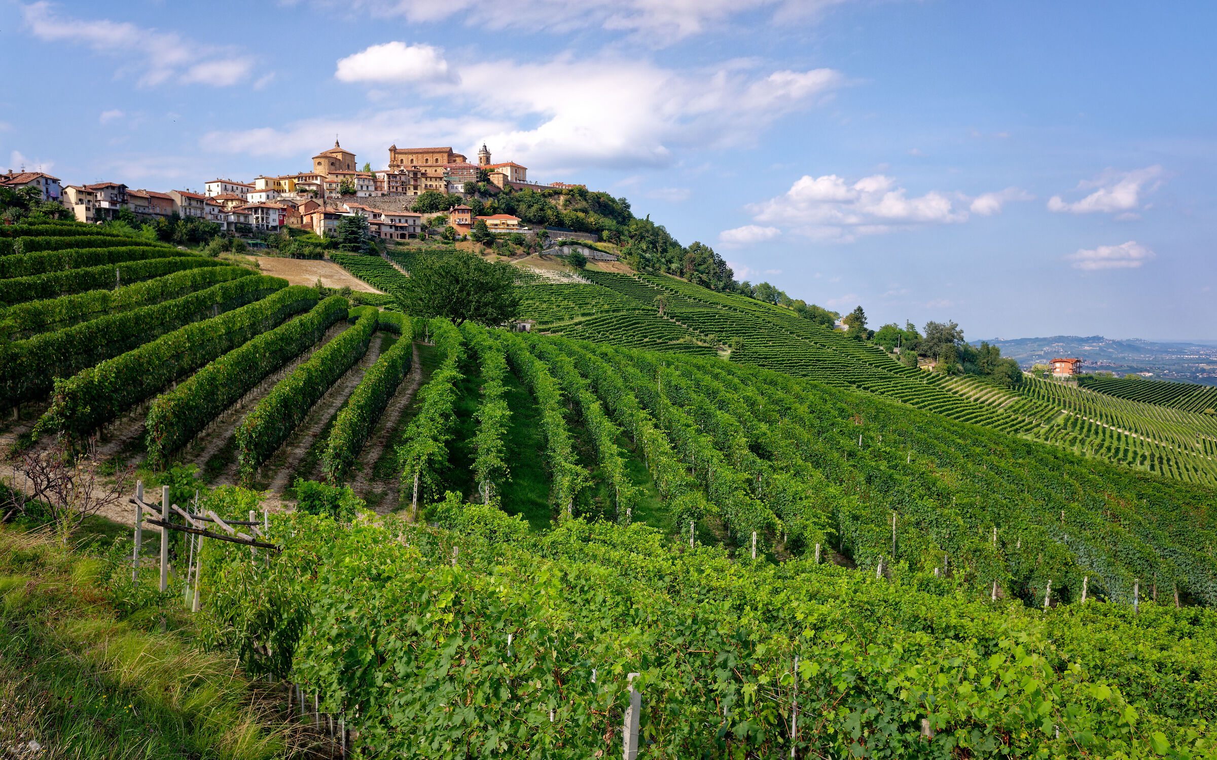 Langhe