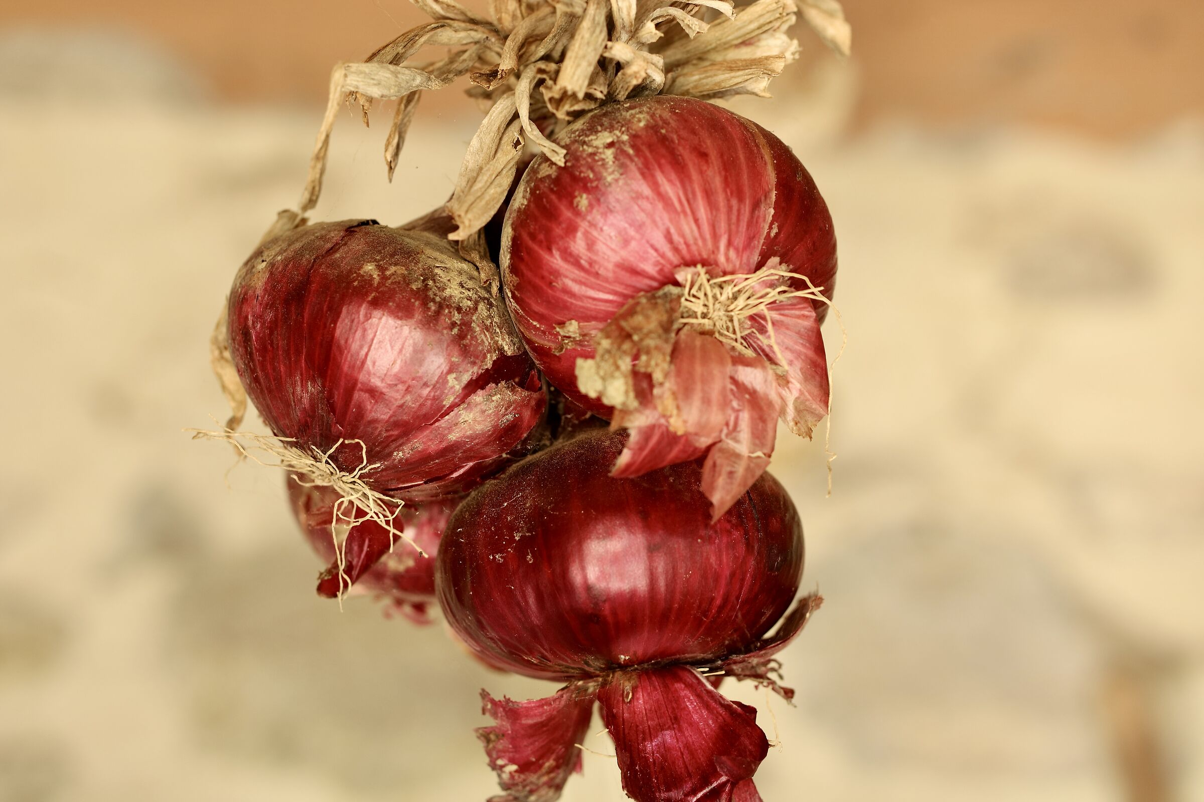 Onions kissing.