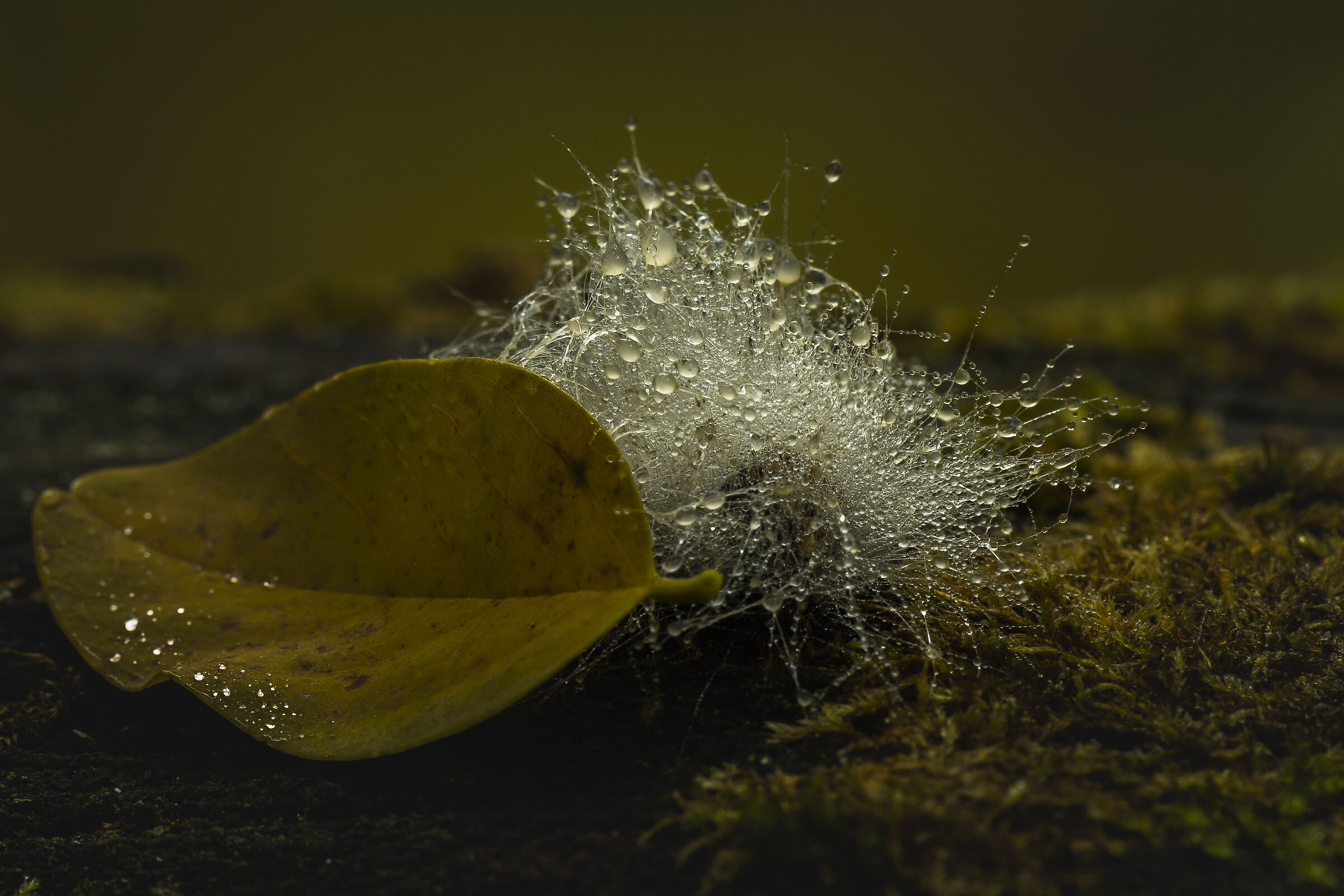 Un po 'di confusione