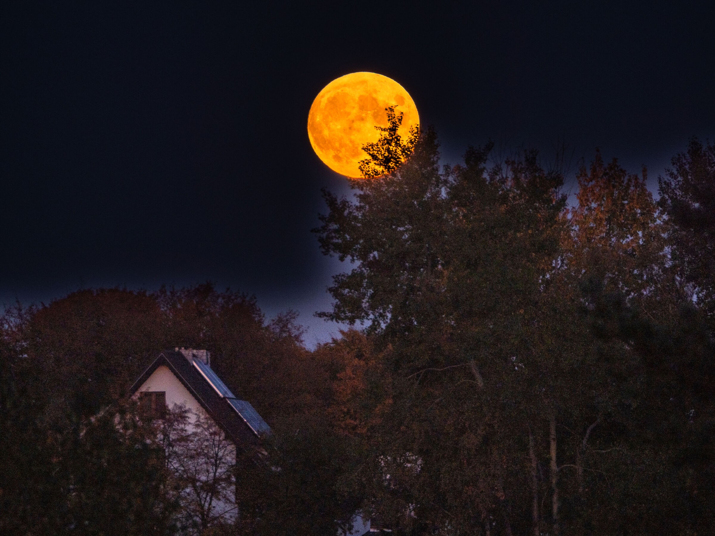 Full Moon