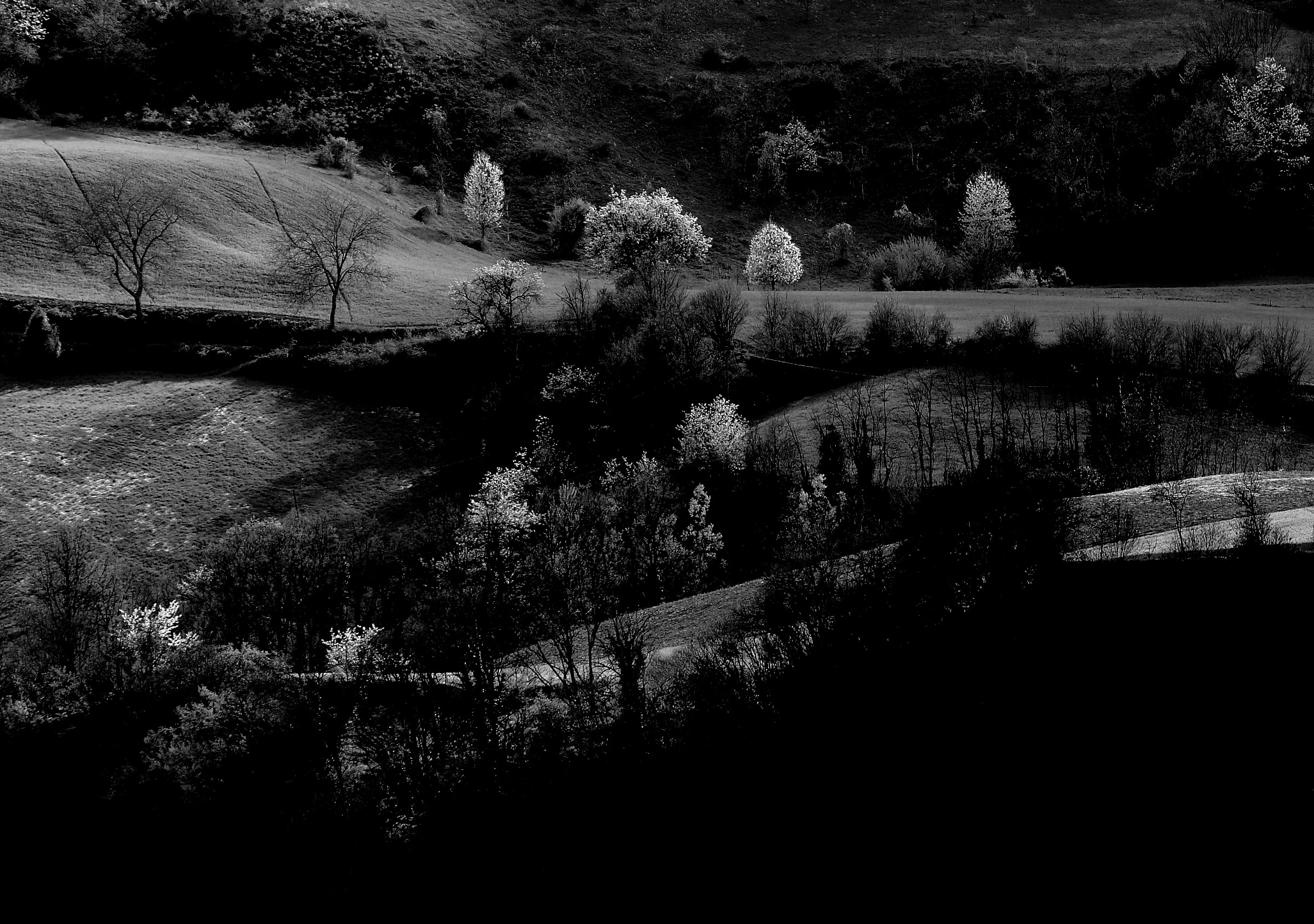 Campagna di Brugnello 4