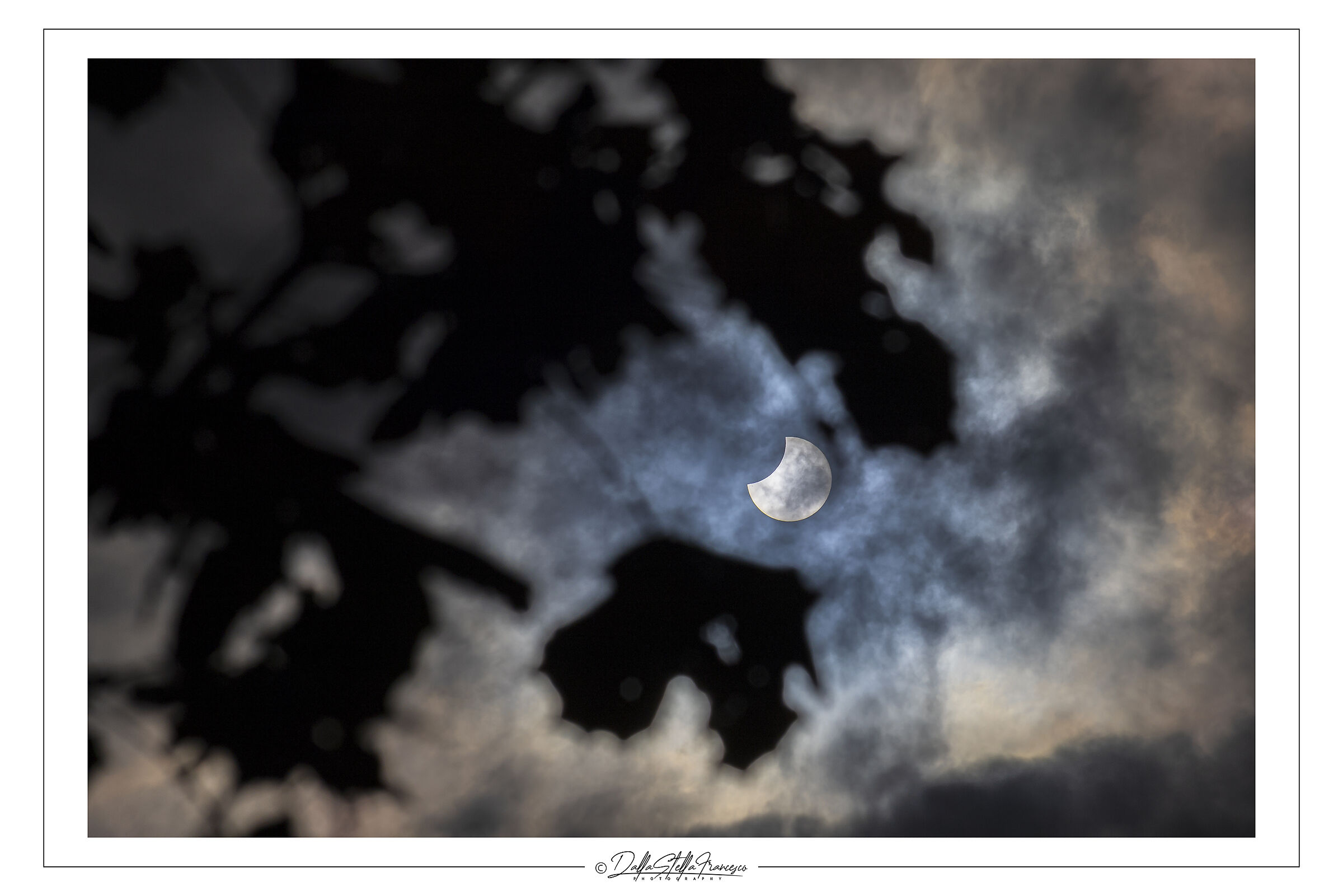 Eclisse parziale di sole tra le fronde