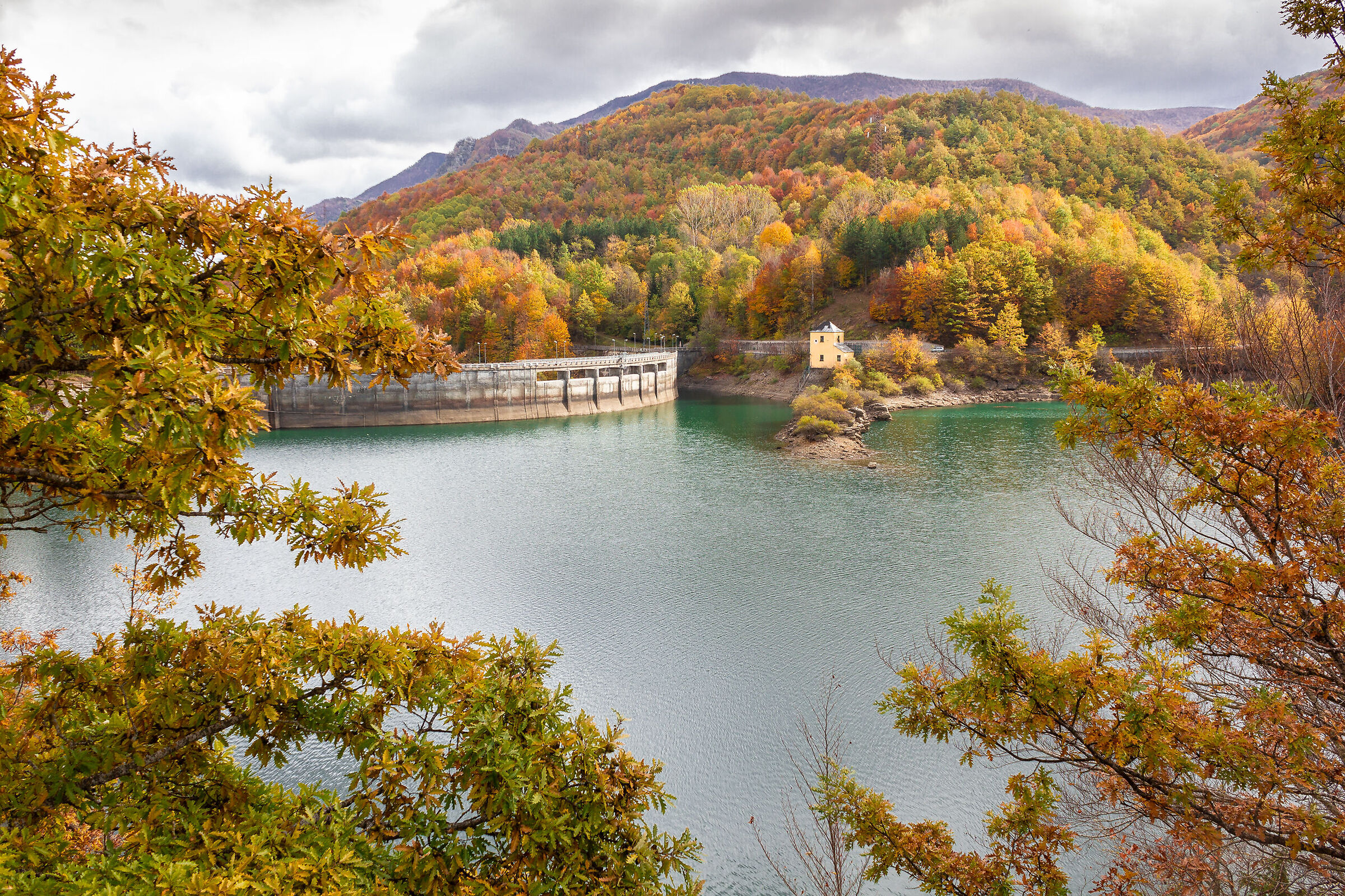 autumn colors