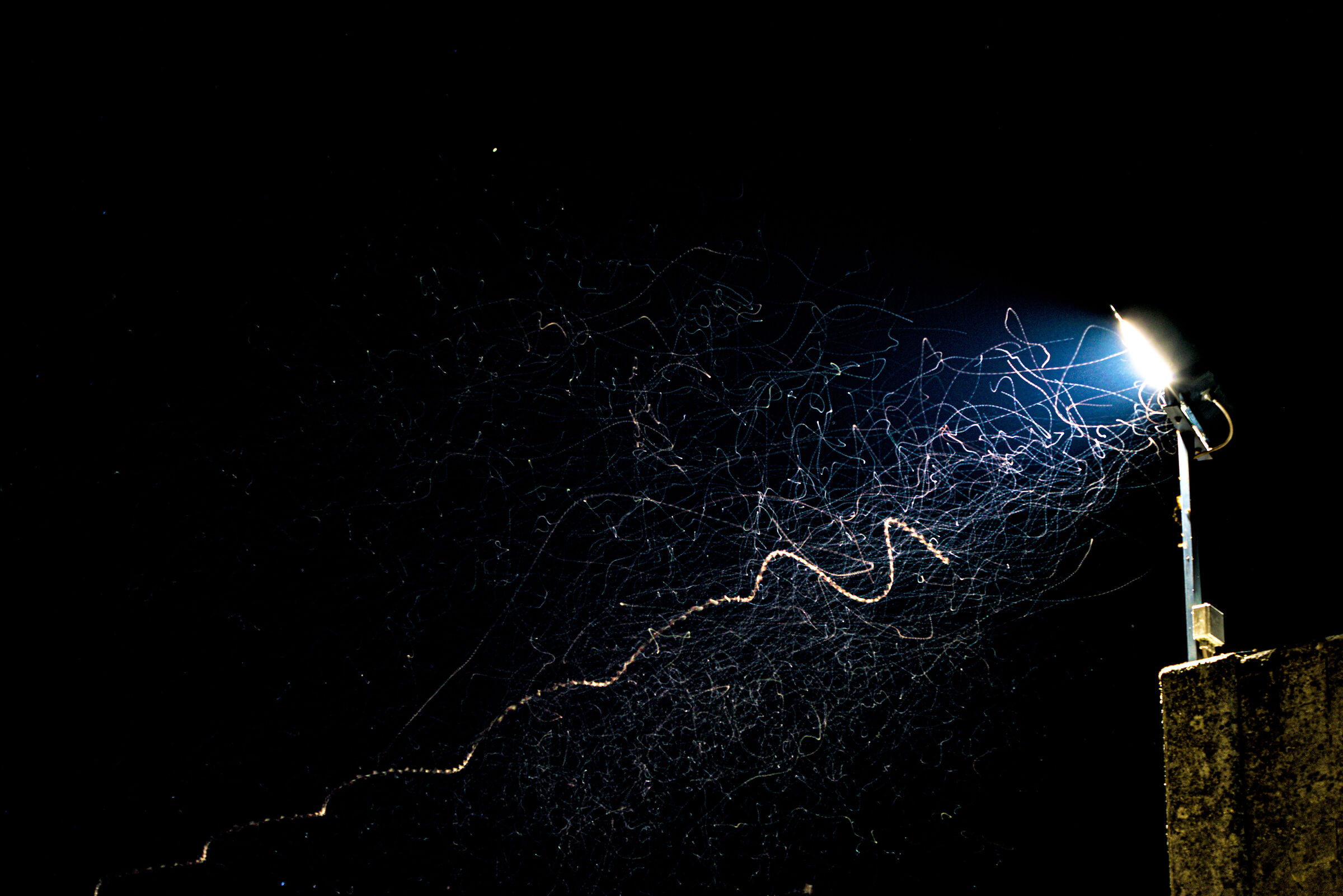 Long night exposure test 004