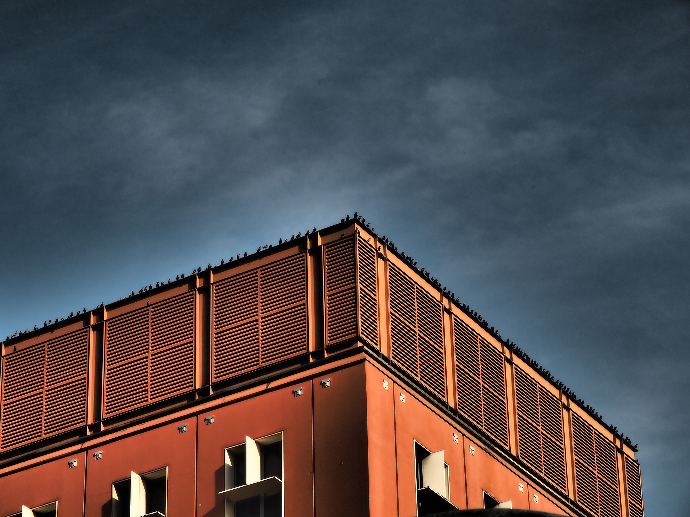 Alfred Hitchcock docet...