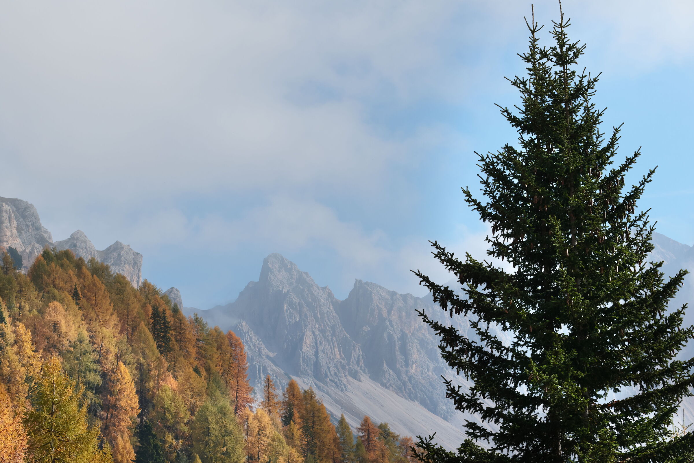 Col da Rit in Autumn