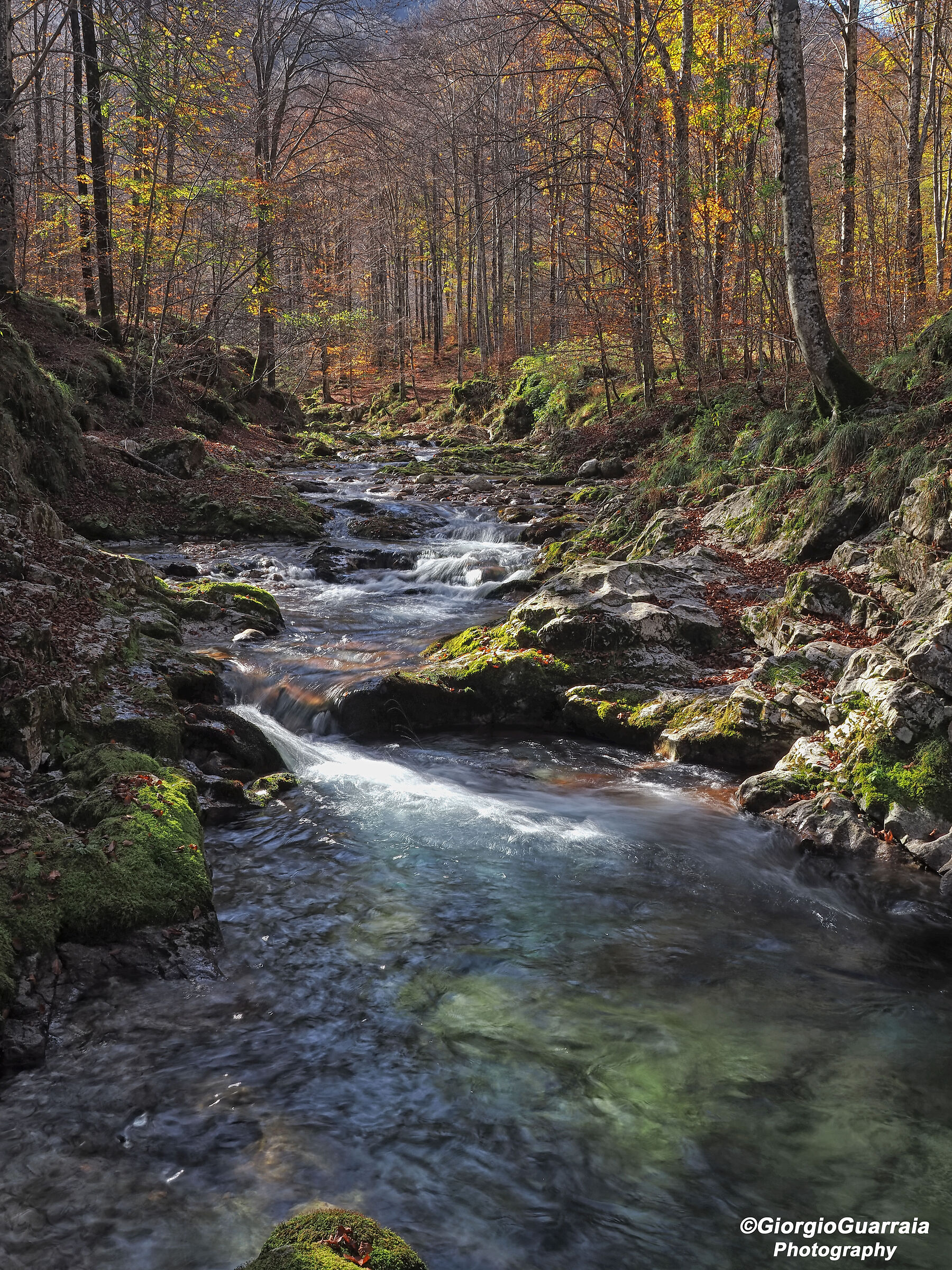 Autumn in Val d'Arzino