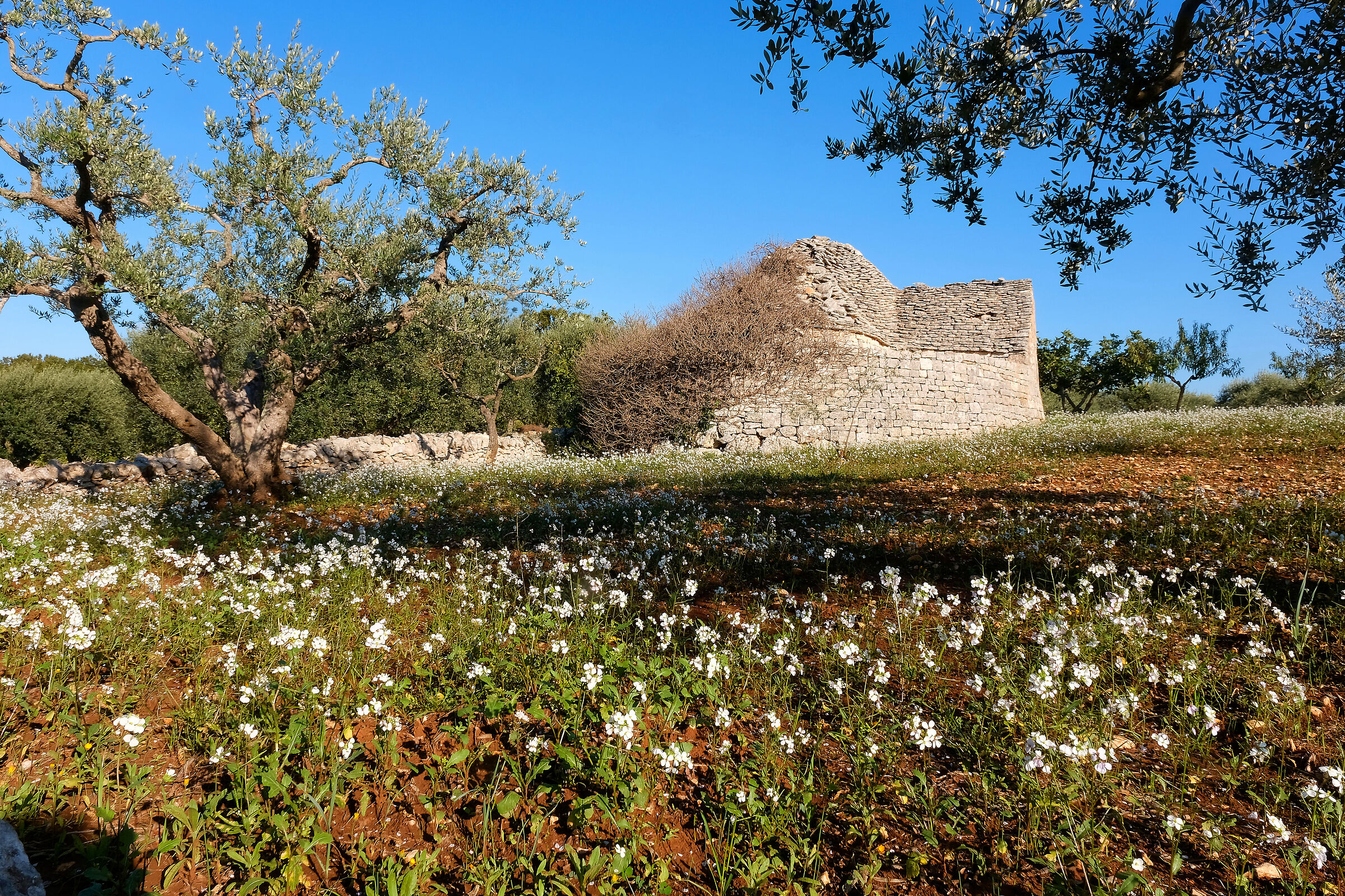 Trullo abbandonato