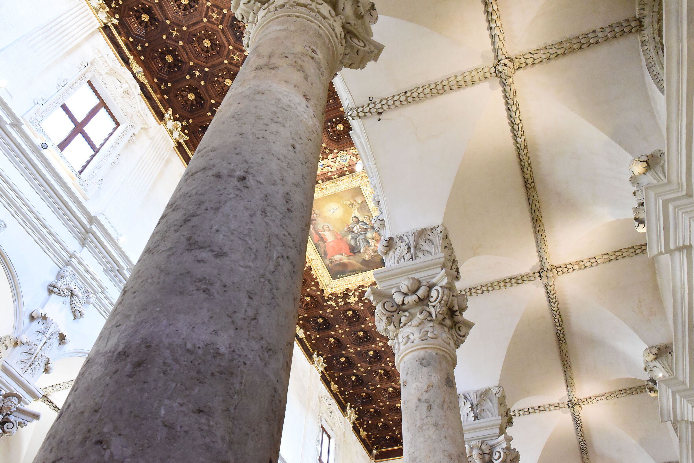 " ISO 12. 8 0 0 ", F. 8, 1/ 250- Nikon 28, 1.4 AND ED