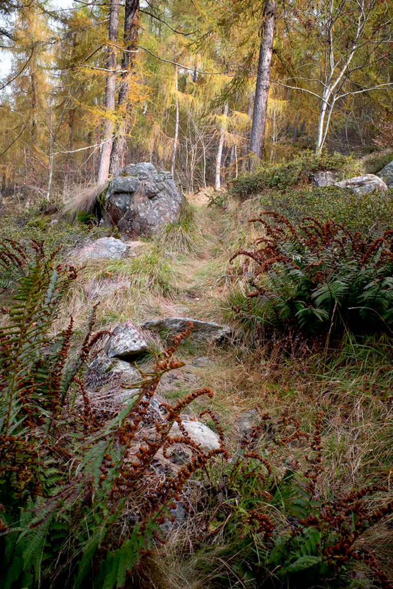The boulder