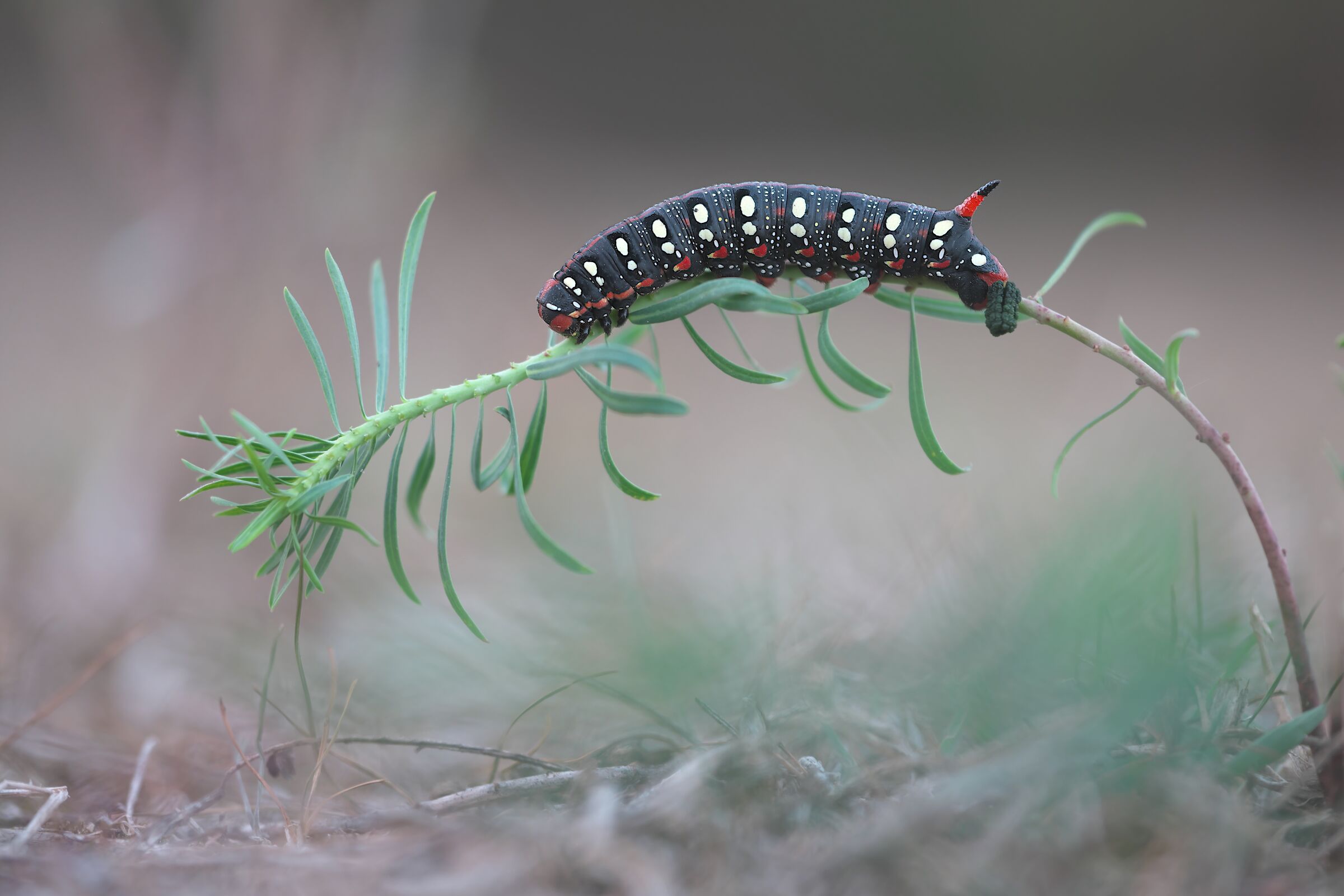 The sunrise of a day spent