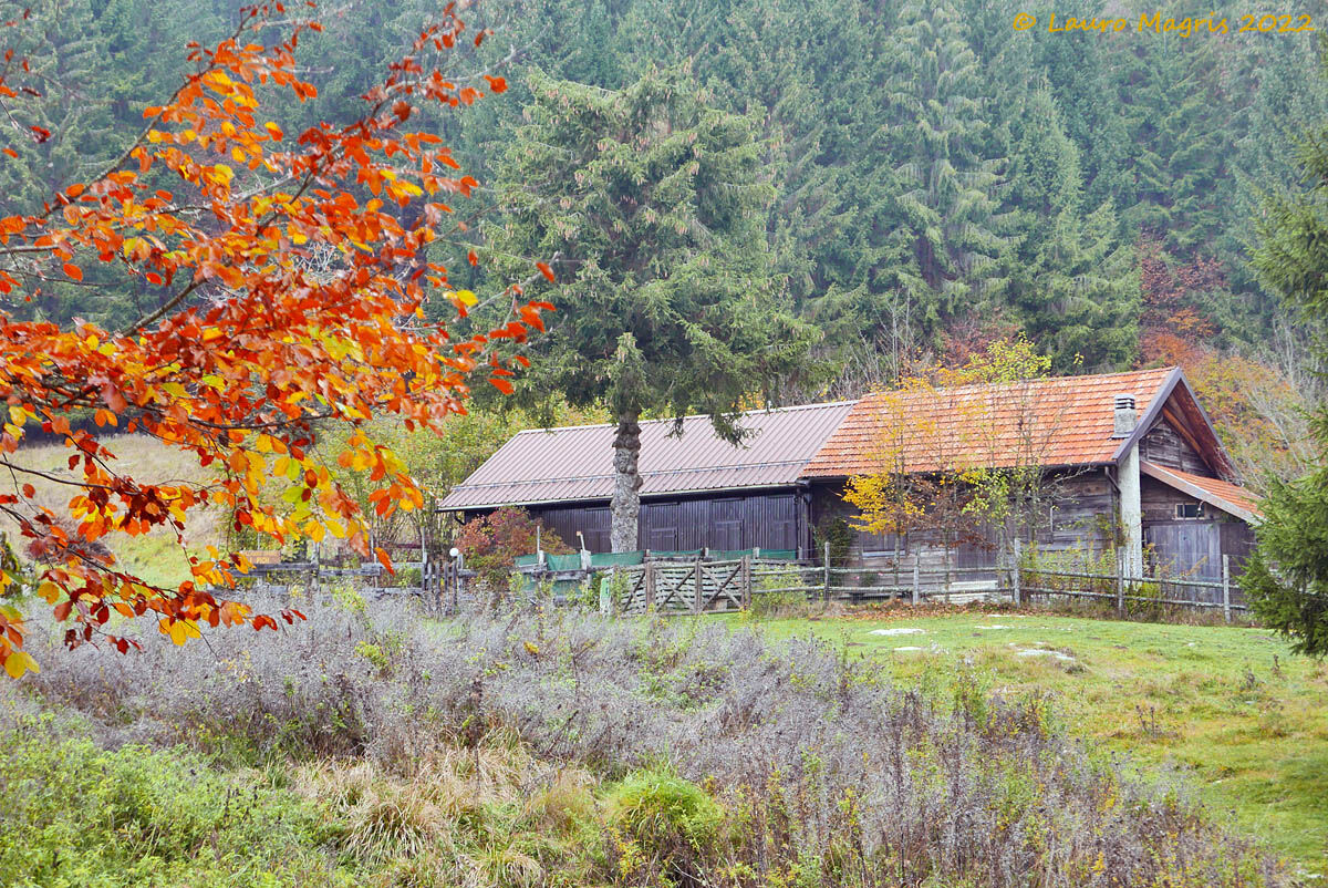 Ultimi colori ai Pich