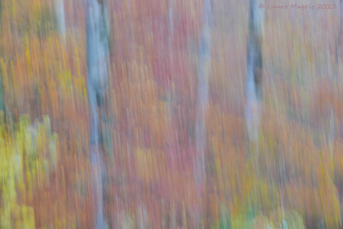 Pennellate di colore