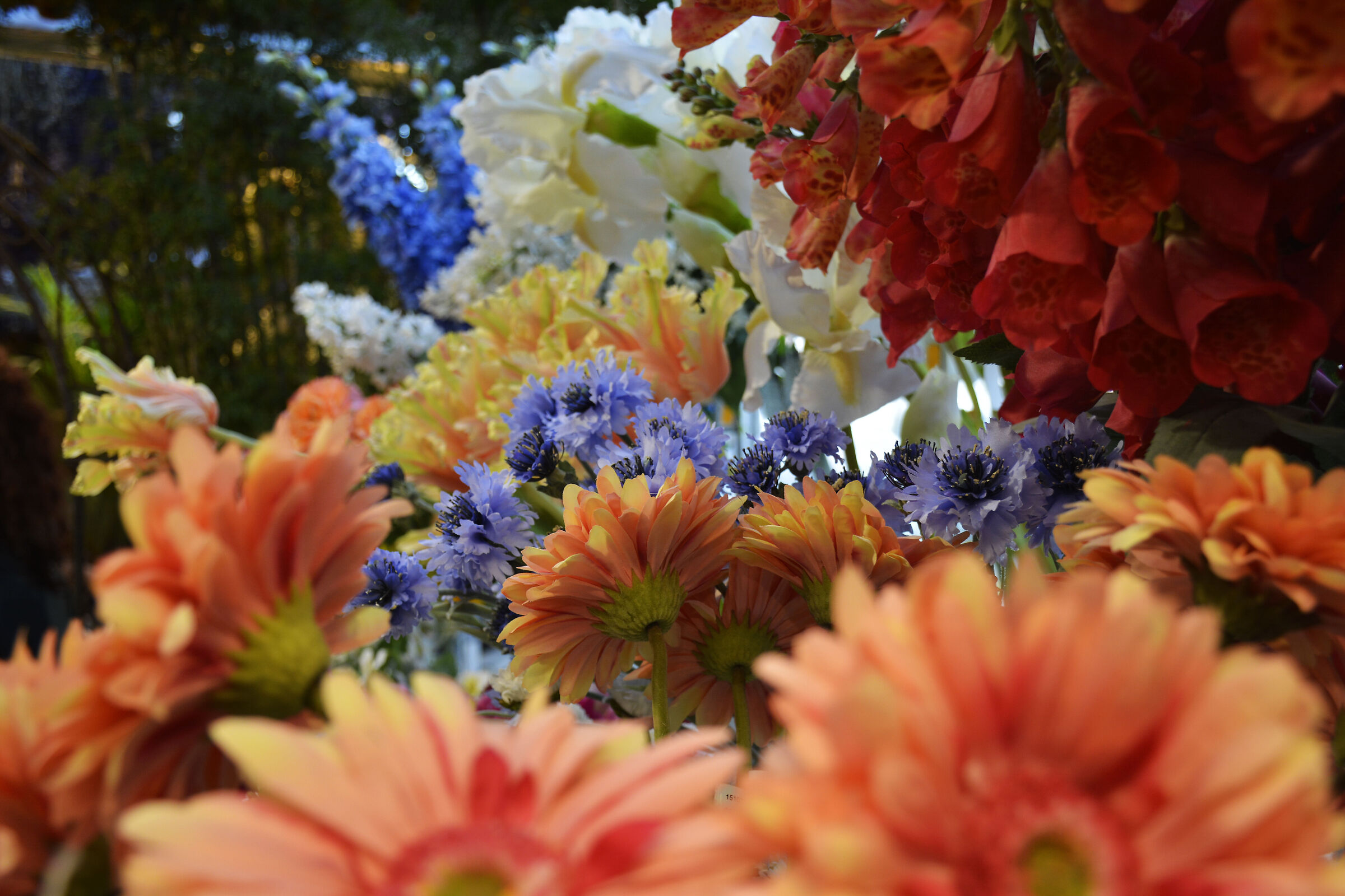 Flower Market