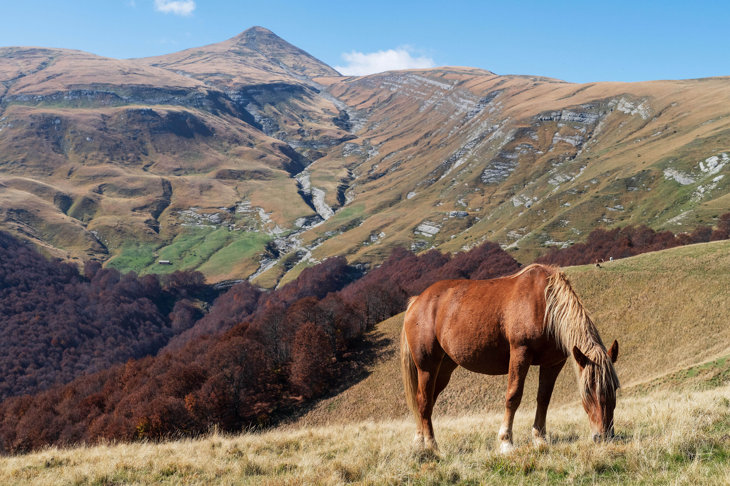 Iceland? No, abruzzo.