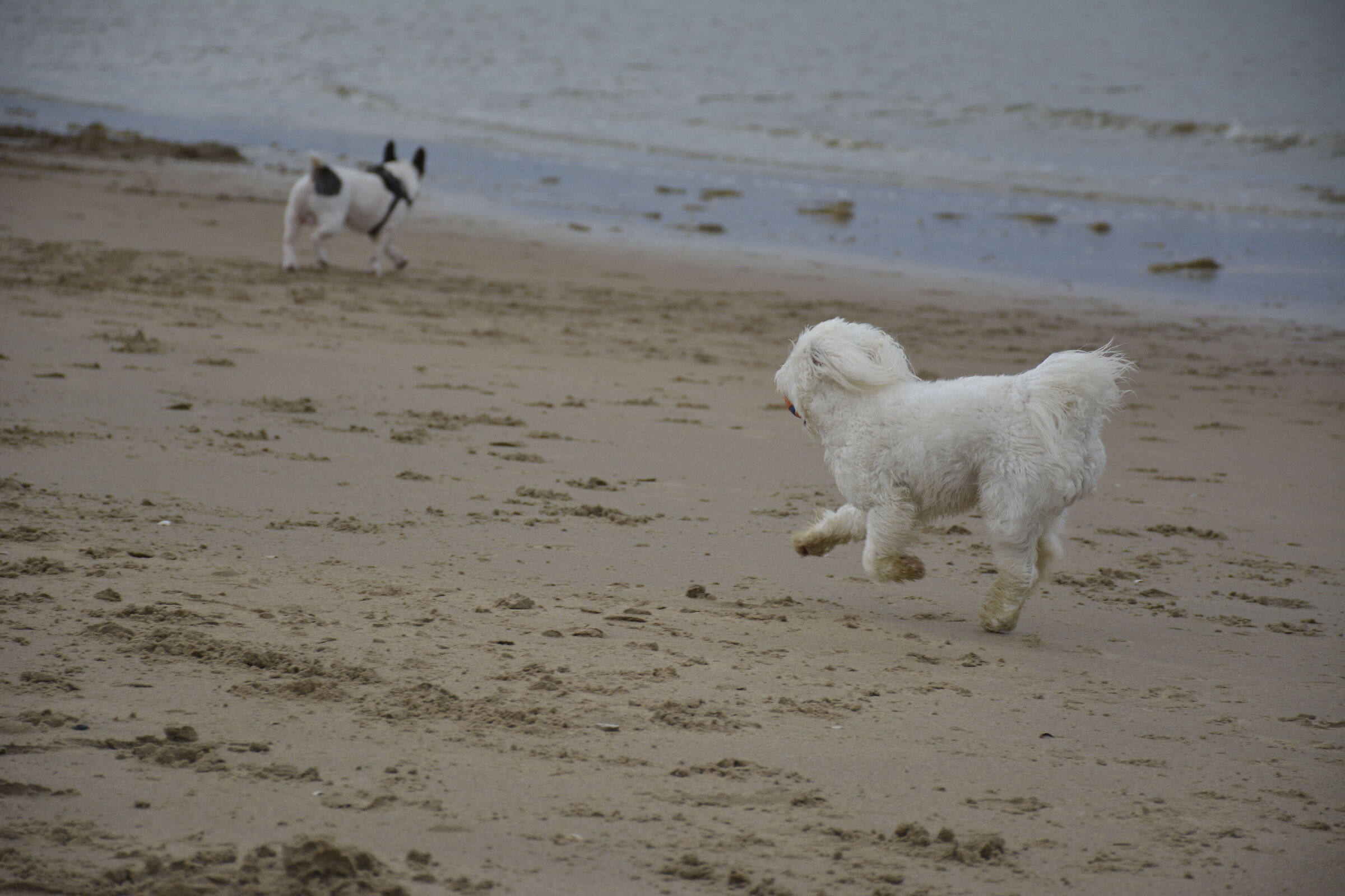 On the beach