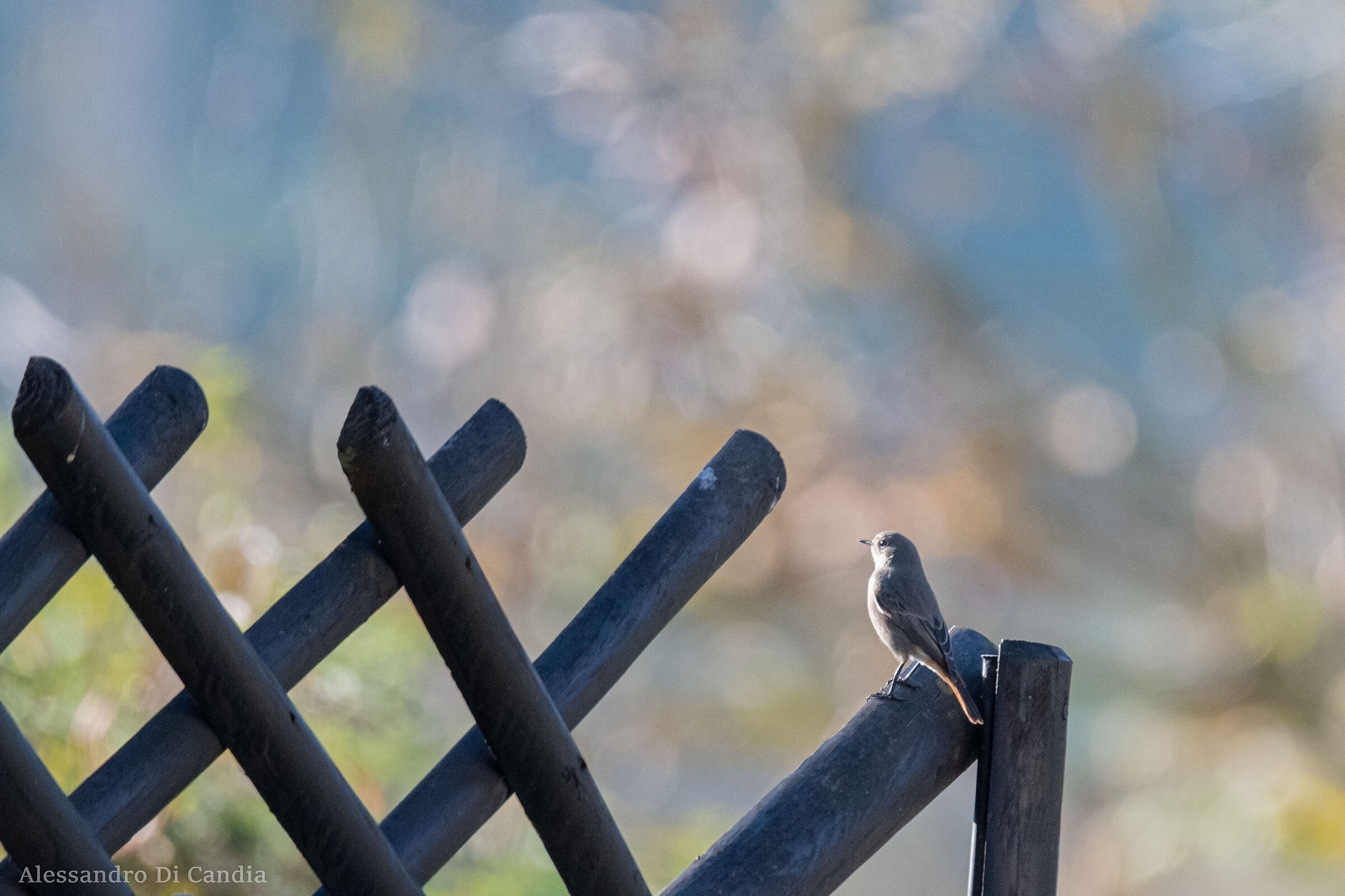 Uno sguardo illuminato