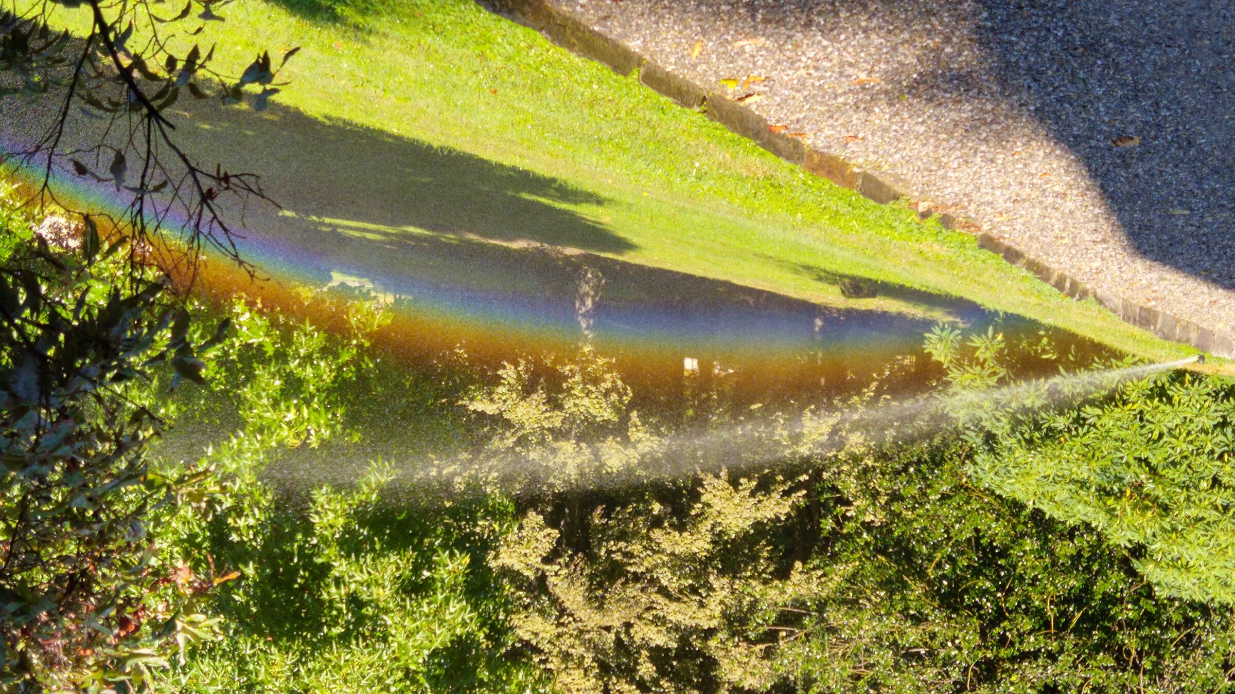 Giochi di acqua e luce a Villa PAllavicino