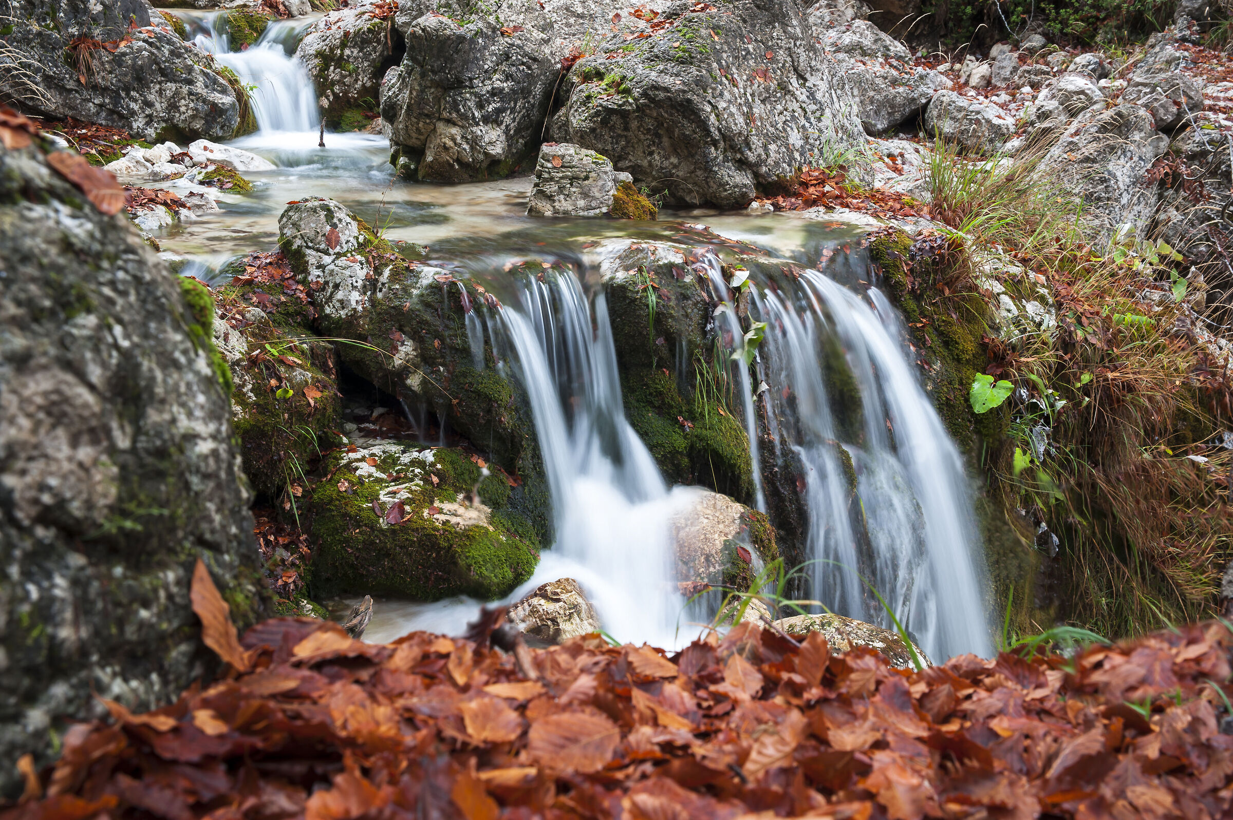 Autumn color contrasts - brook