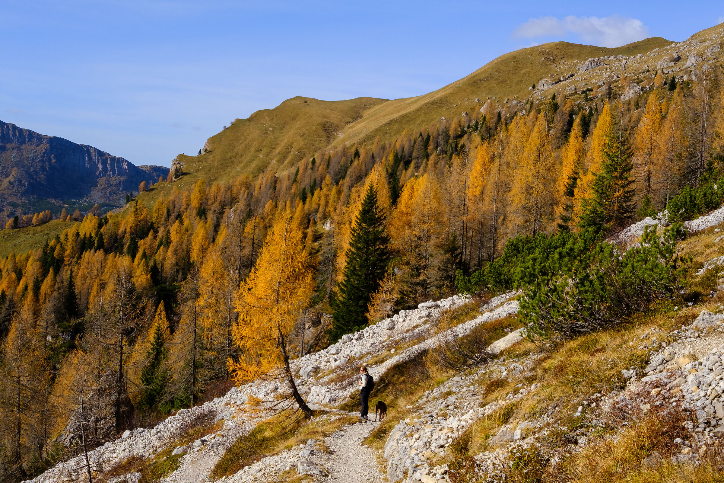 Autumn