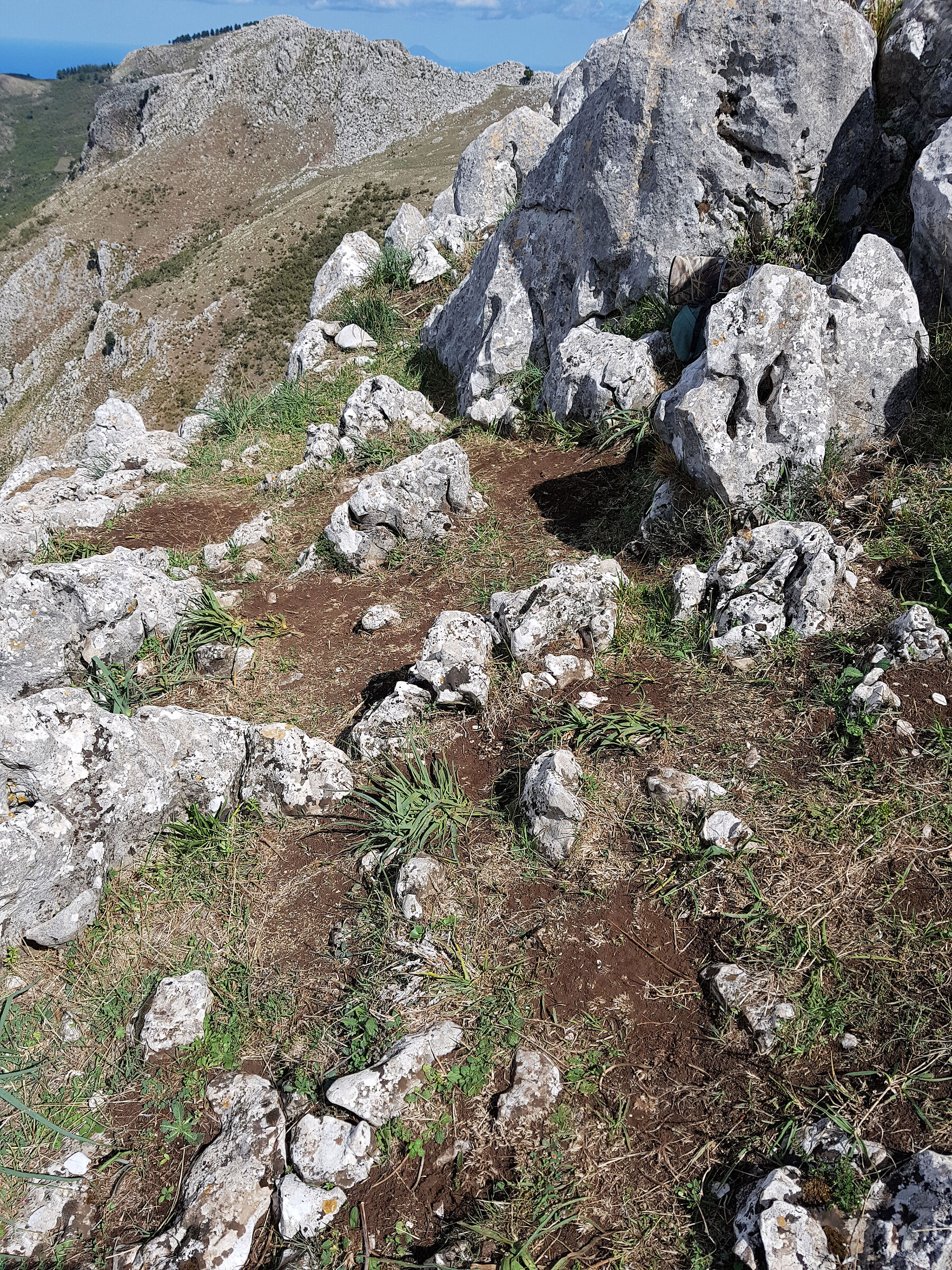 I luoghi dell'aquila reale