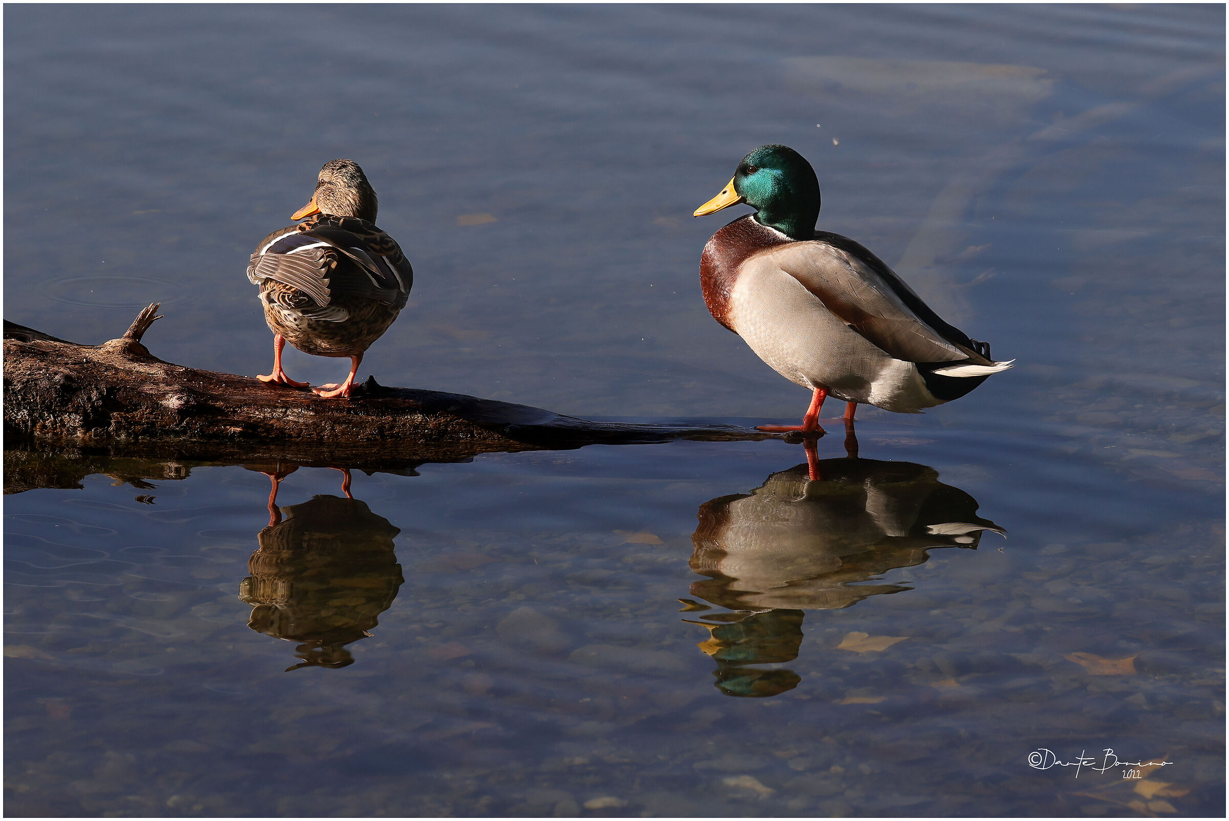 At Lake Piccolo in Avigliana