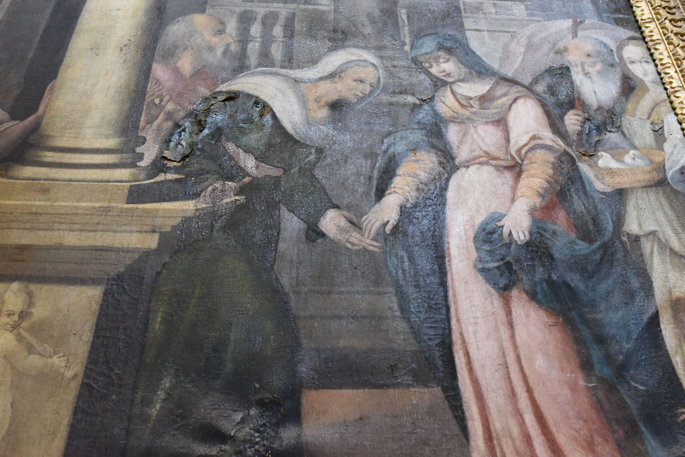 " ISO 12. 8 0 0 ", F. 4.8, 1/ 250- Nikon 28, 1.4 AND ED