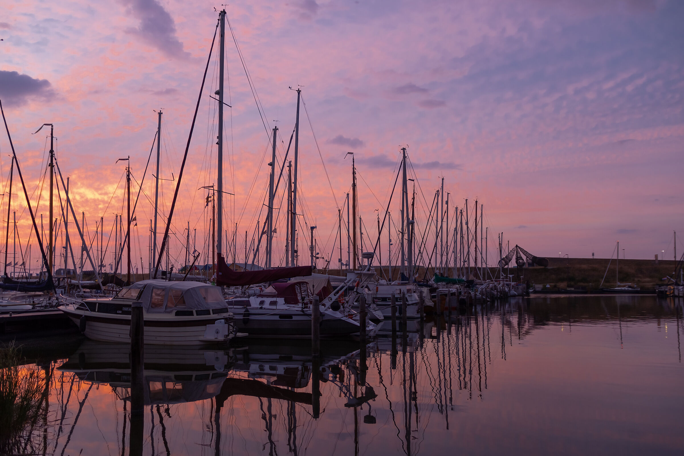 Lauweersog (Netherlands)