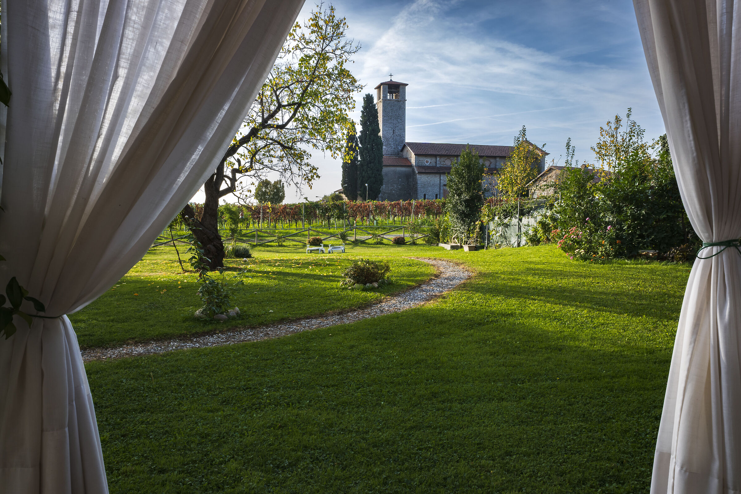 La vigna e l'abbazia