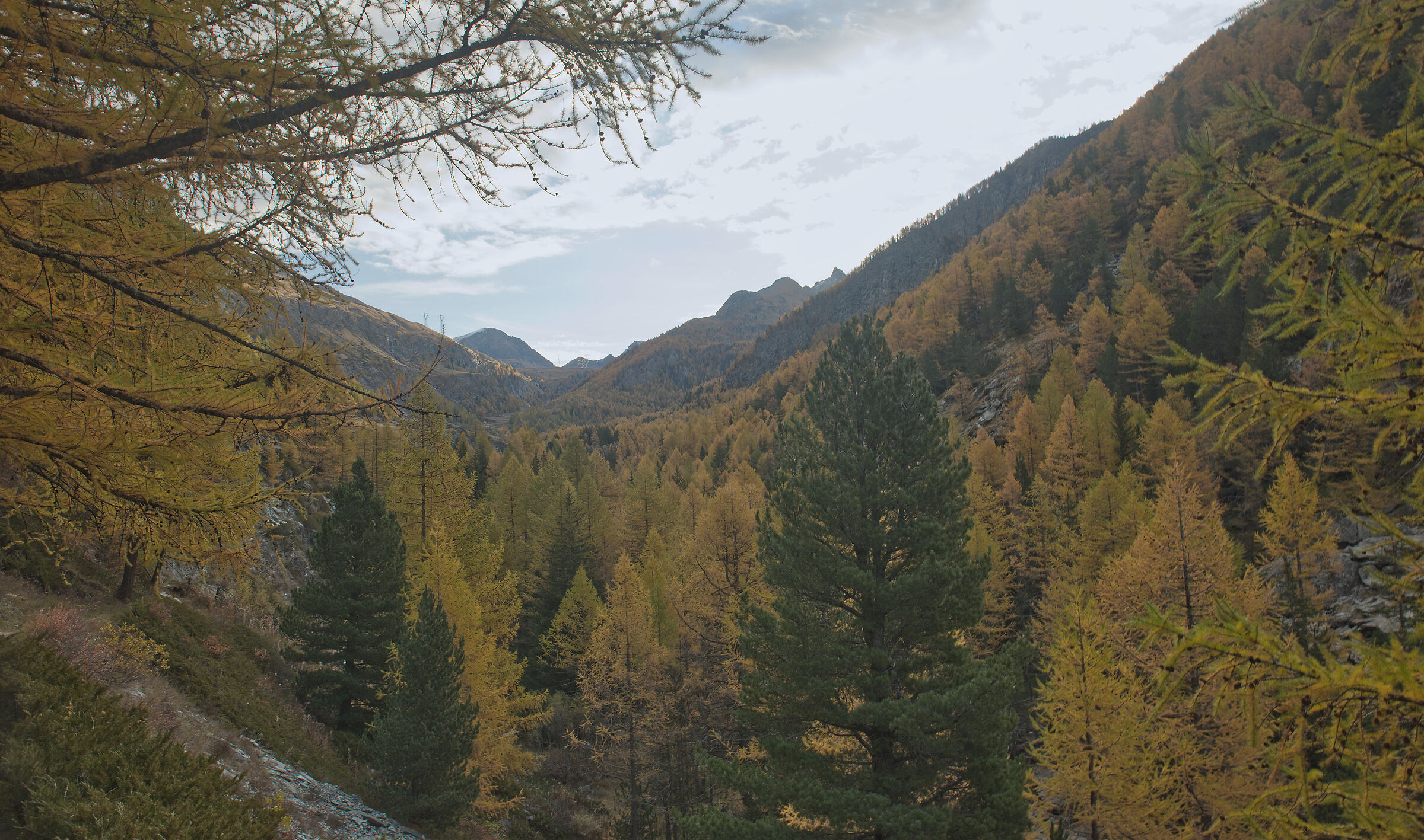 autumn in Val d'Aosta October 2021