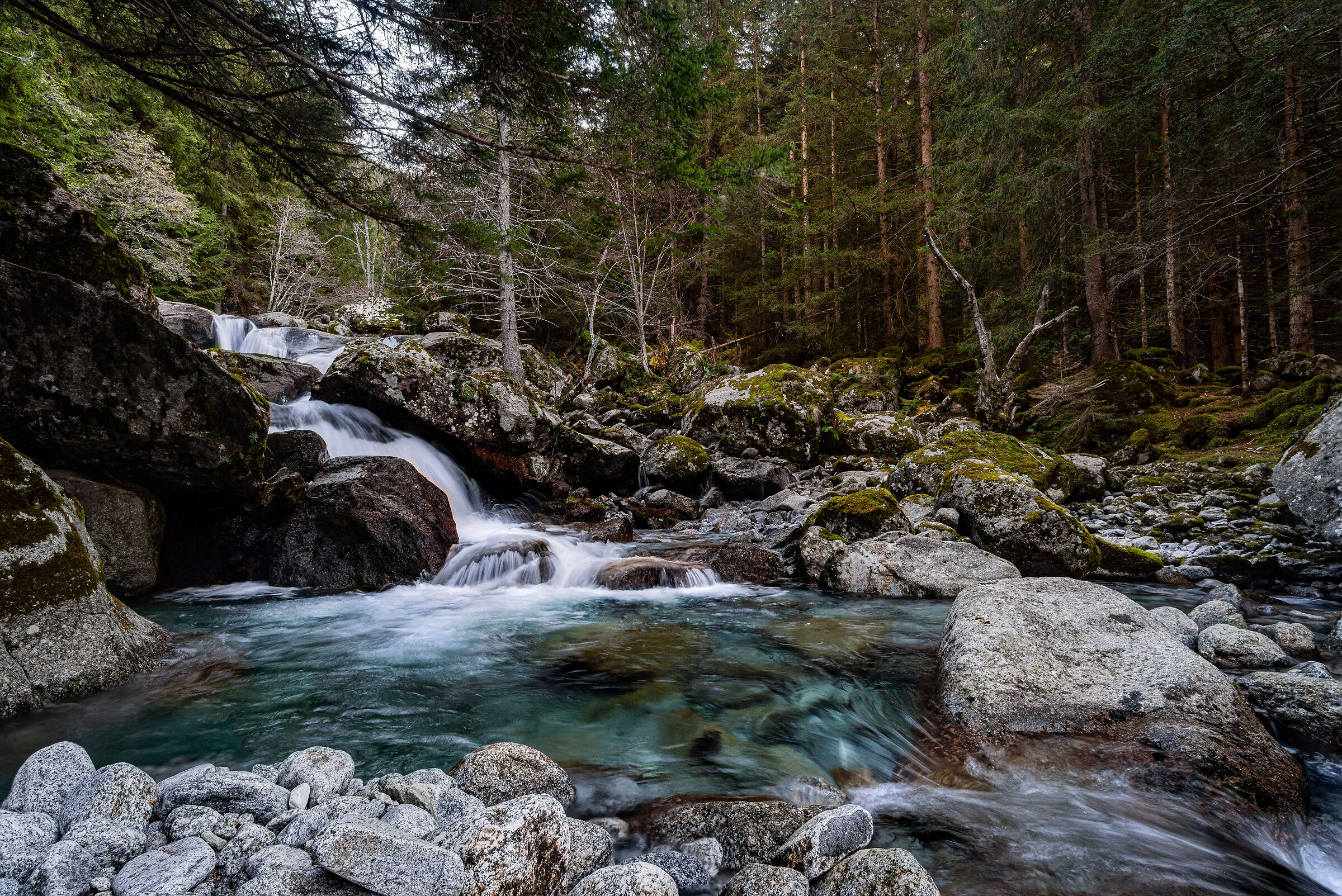 The waterfall in the woods