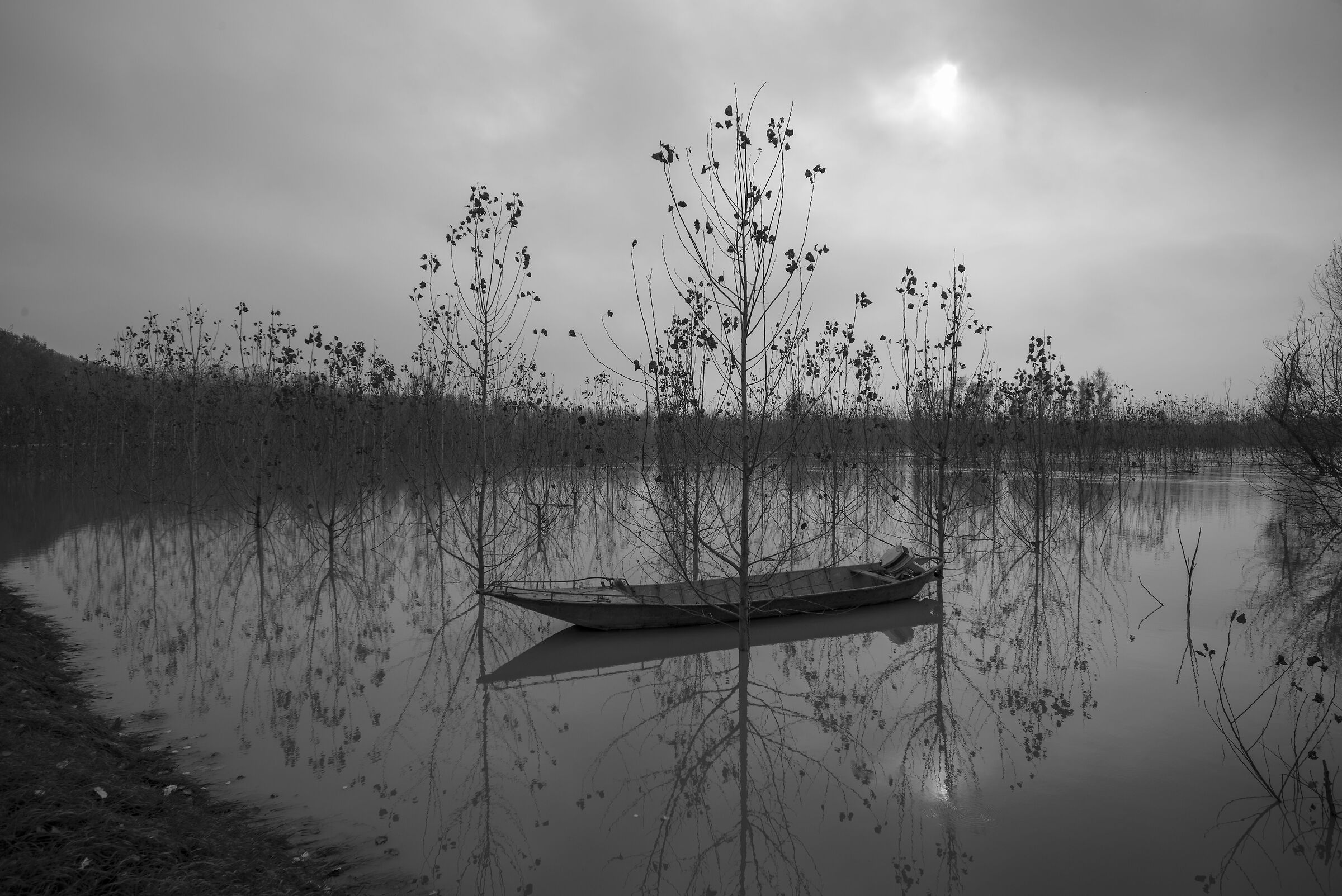 Flooded flood of the Po