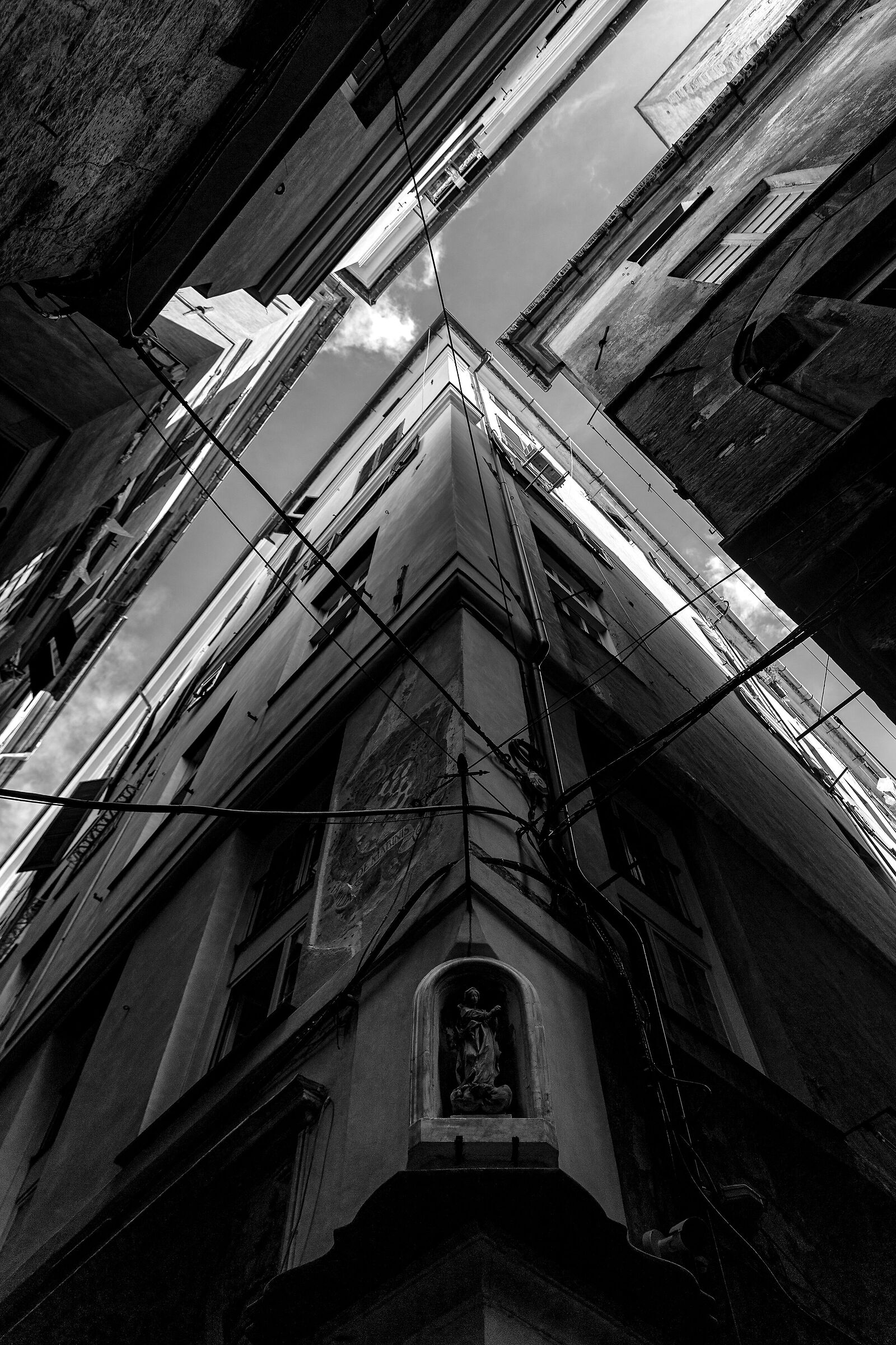 Looking up