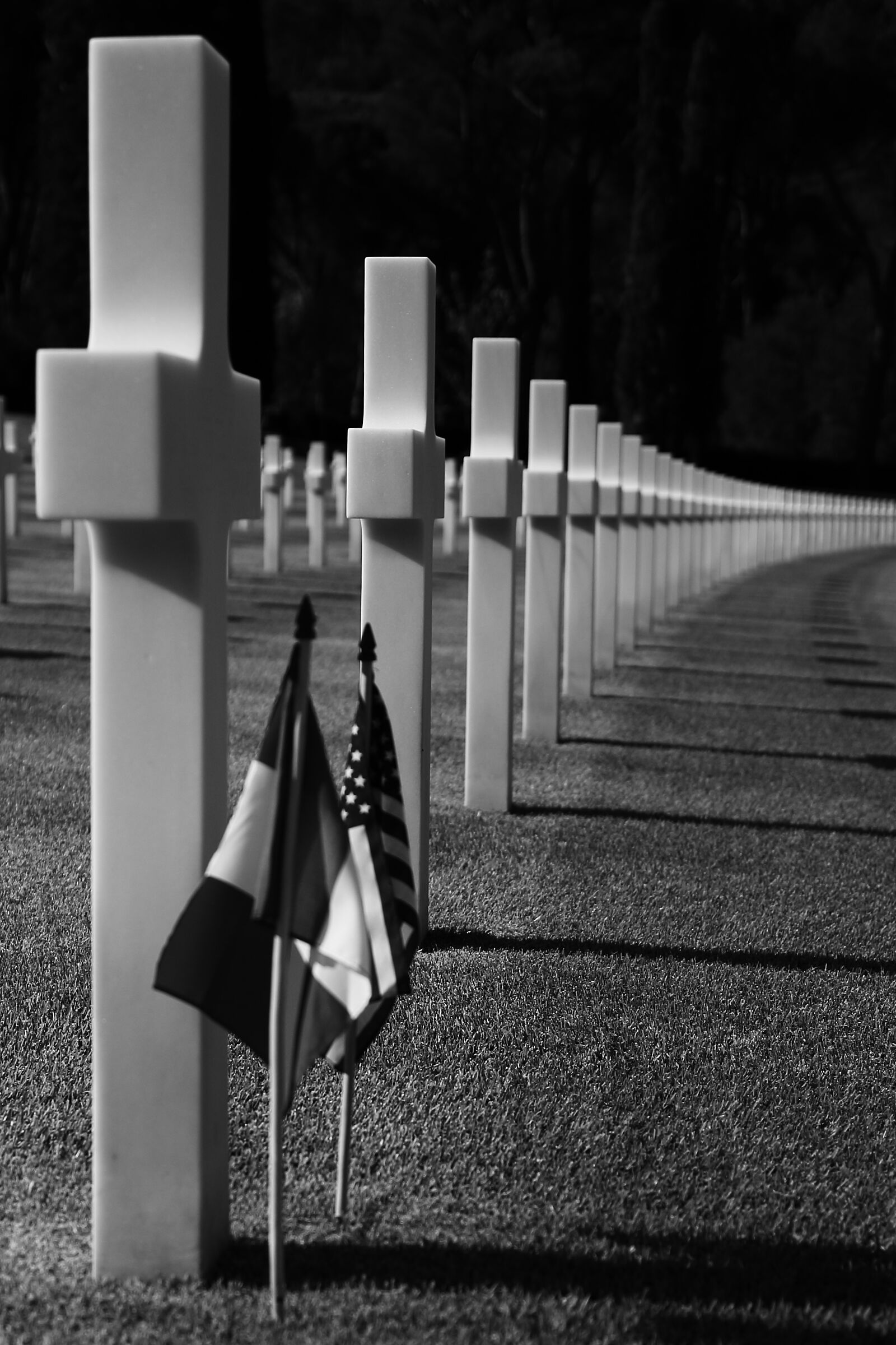 I soldati sugli attenti