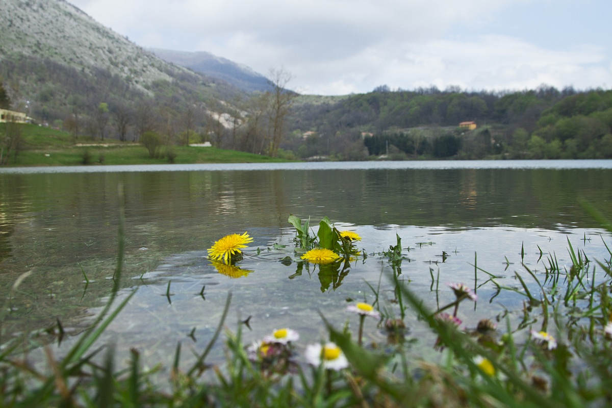 la natura dall'acqua