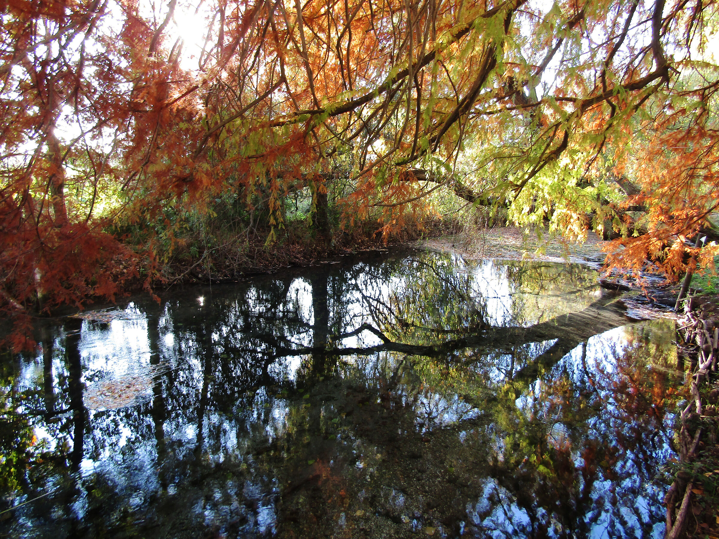 Autumn reflections