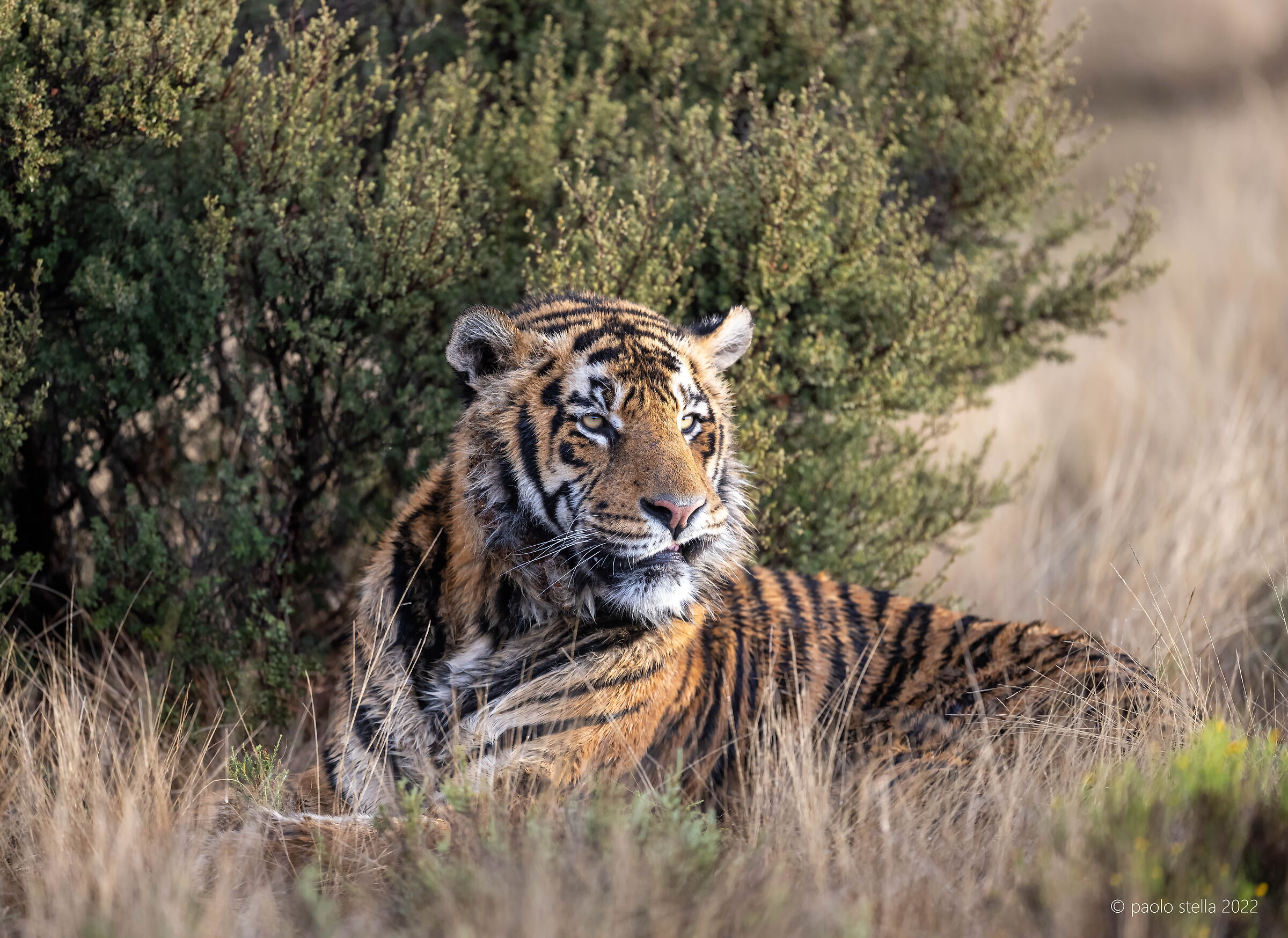 are we friend? mmmmm