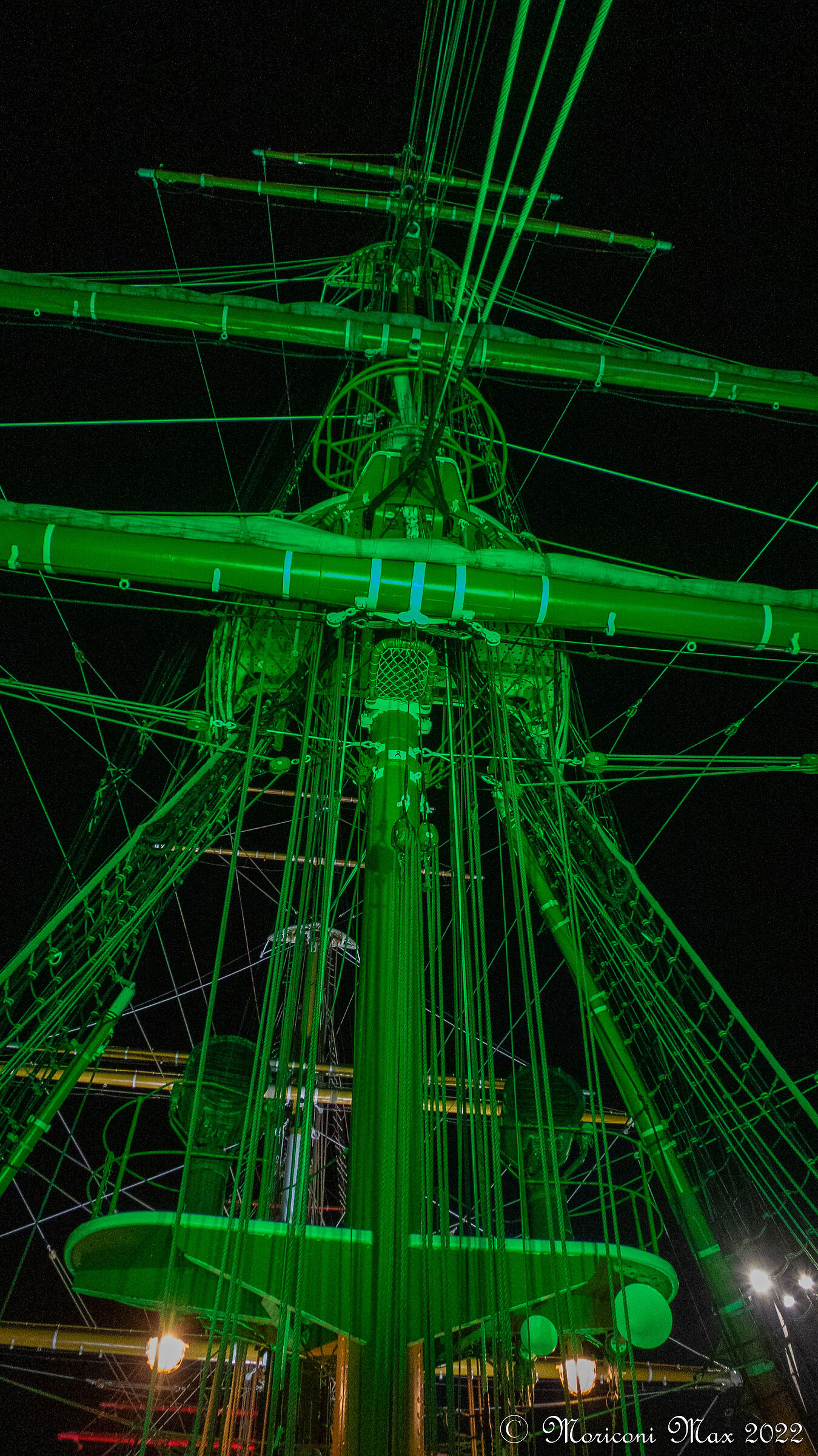 Amerigo Vespucci - Albero