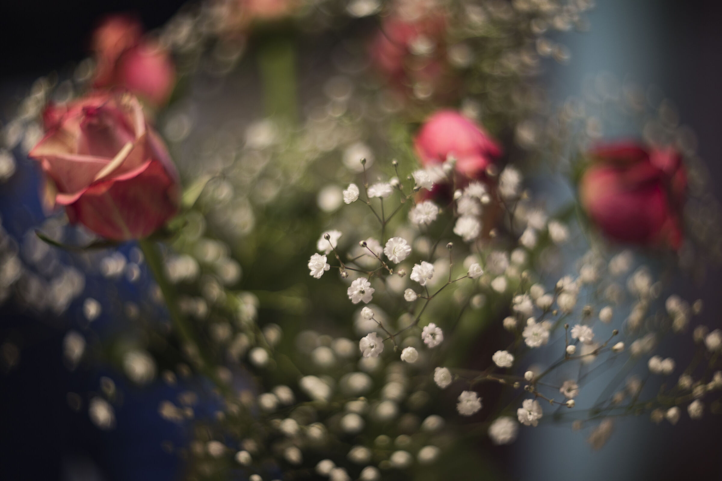 Swirly Bokeh Bouquet