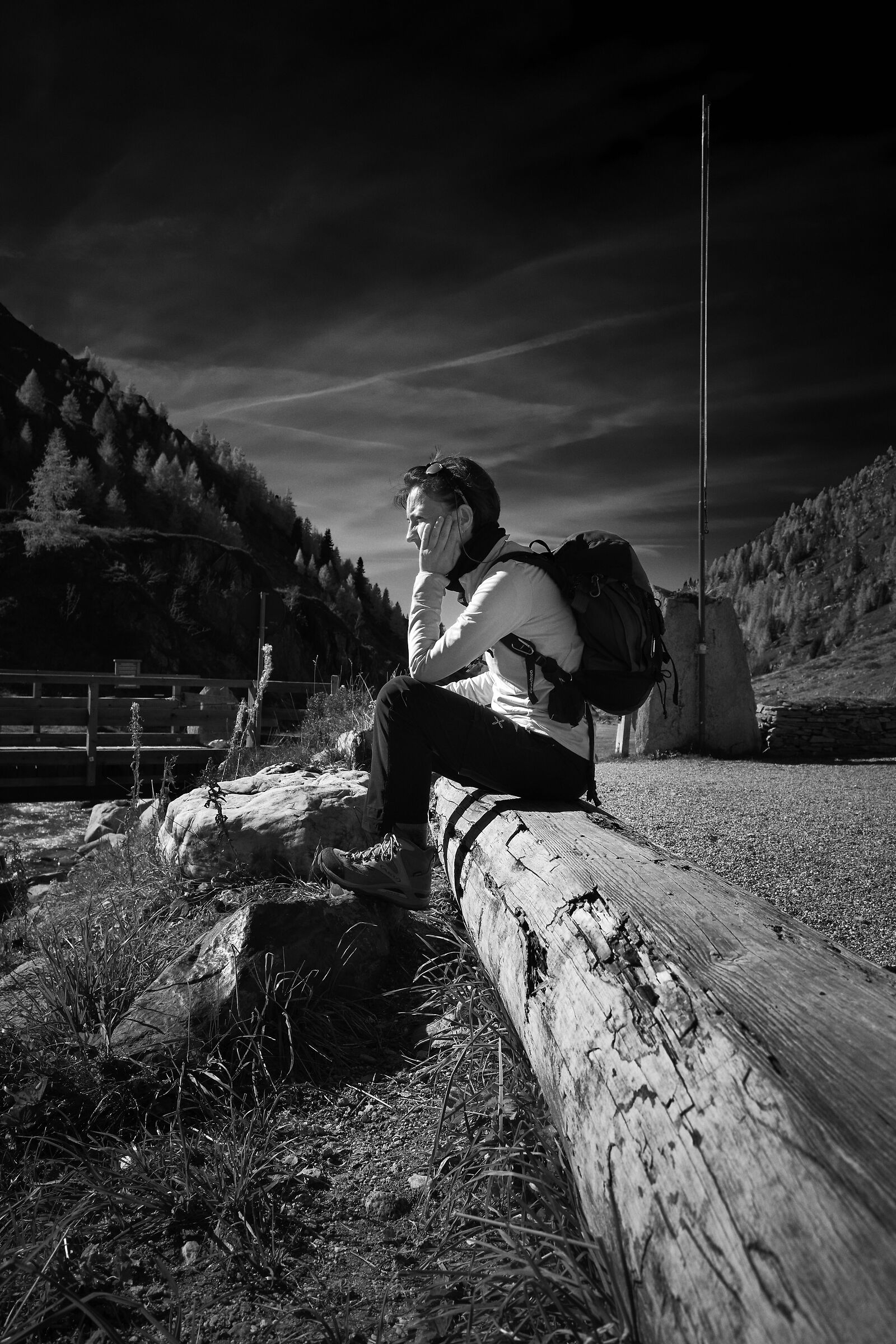 Ma dobbiamo proprio tornare a casa ?