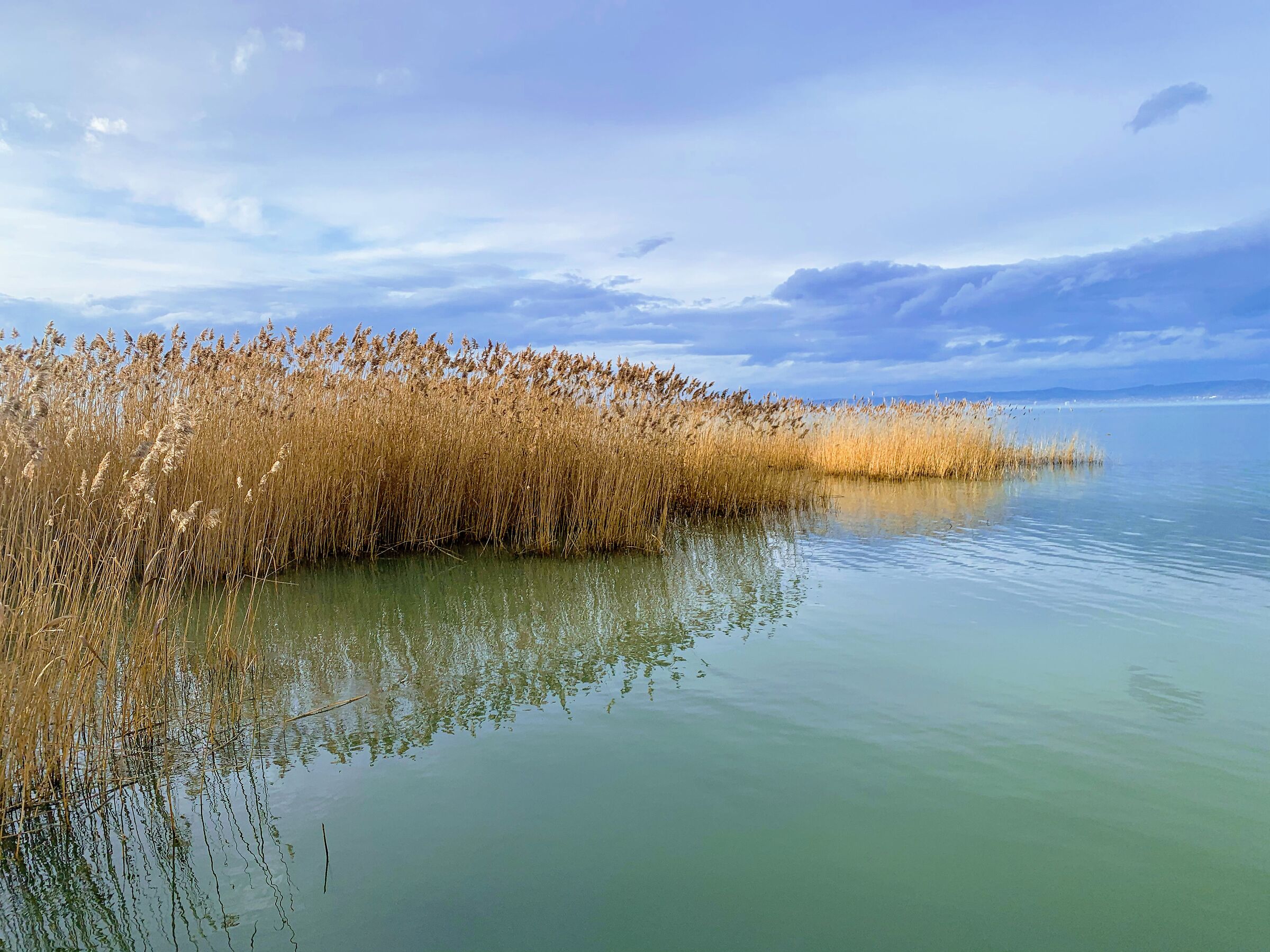 Balaton Ungheria