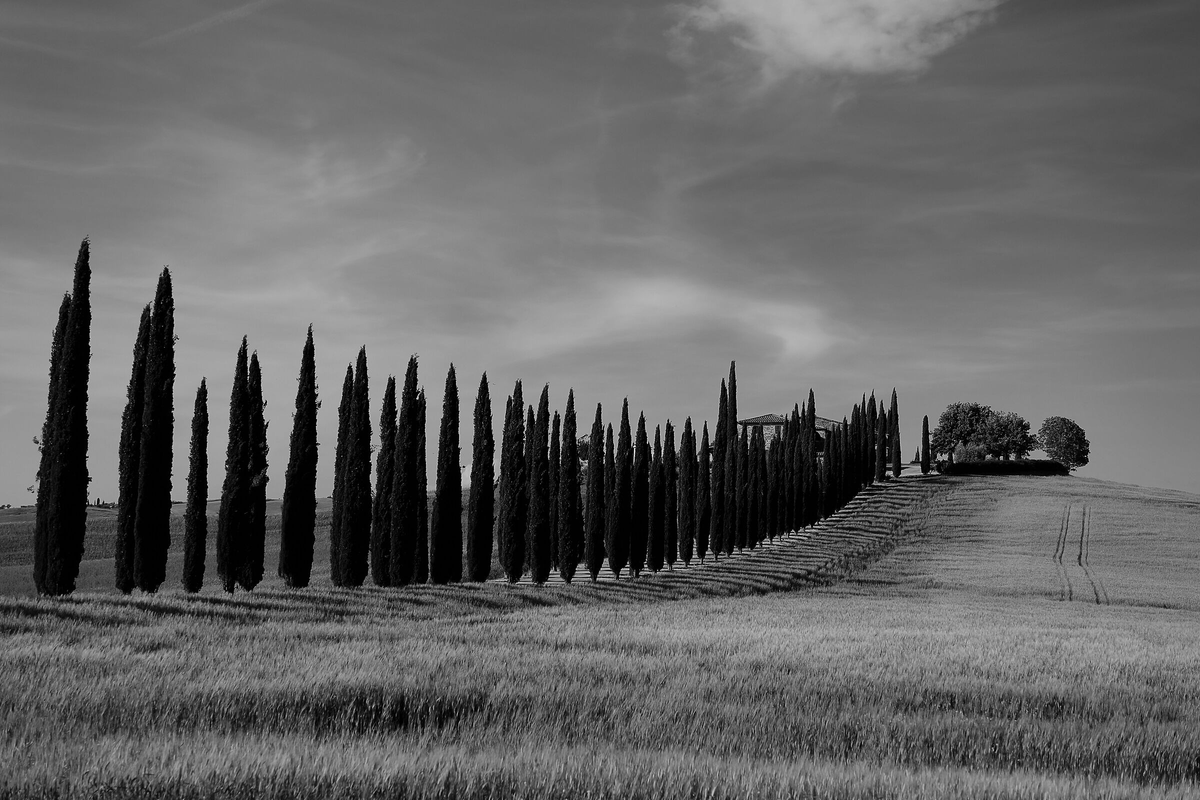 Val d'Orcia