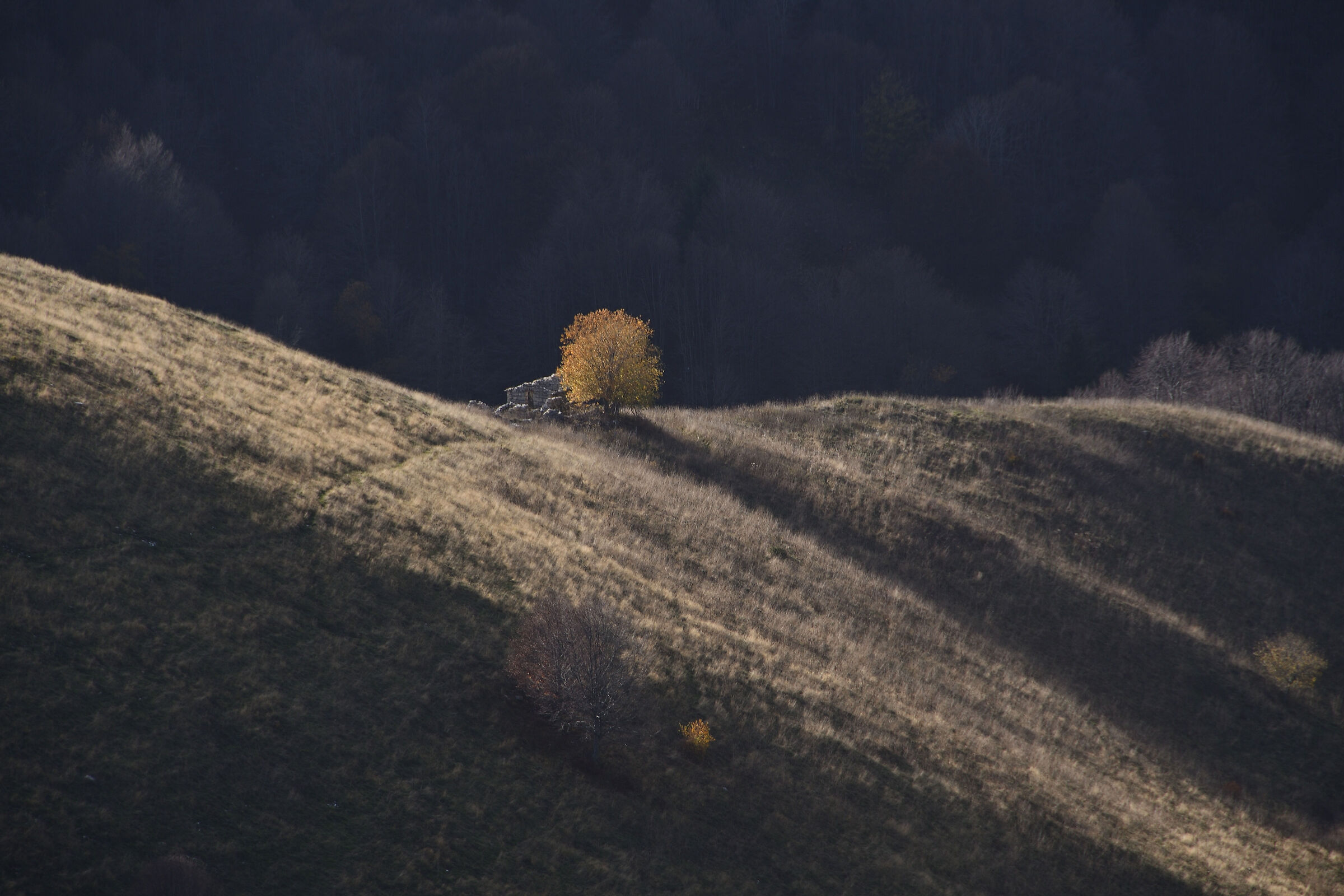 Light