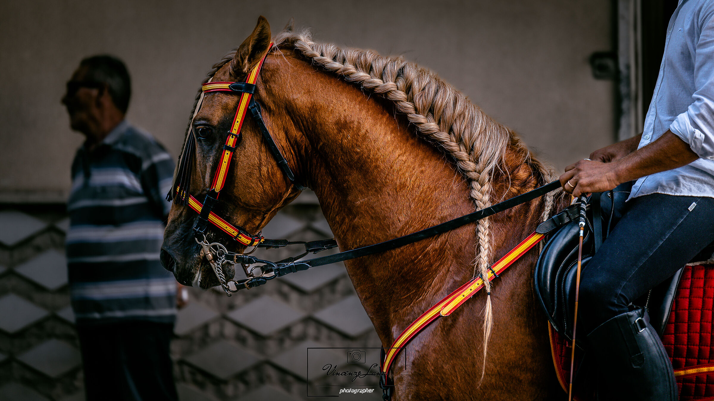 Il profilo di Varenne