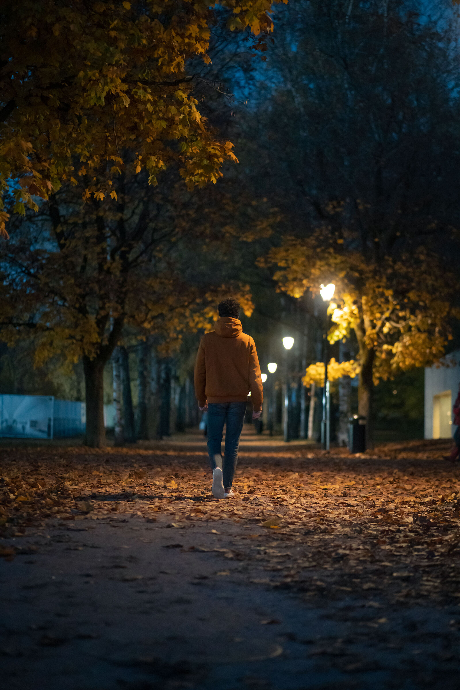 Autumn evening